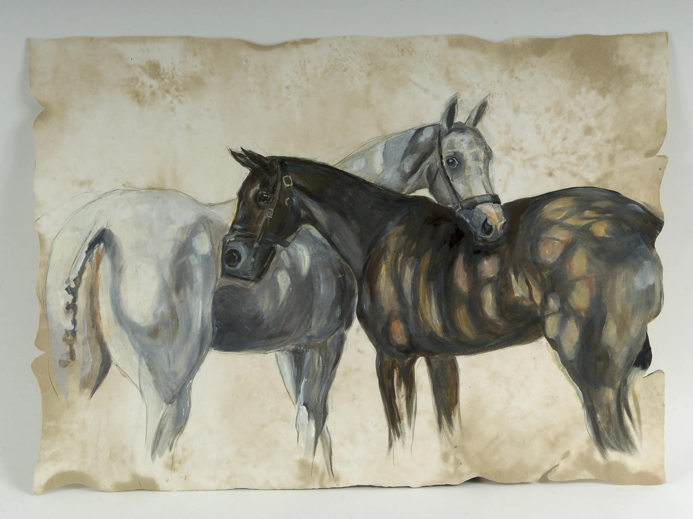 Polo ponies - 'Shady lunch break'