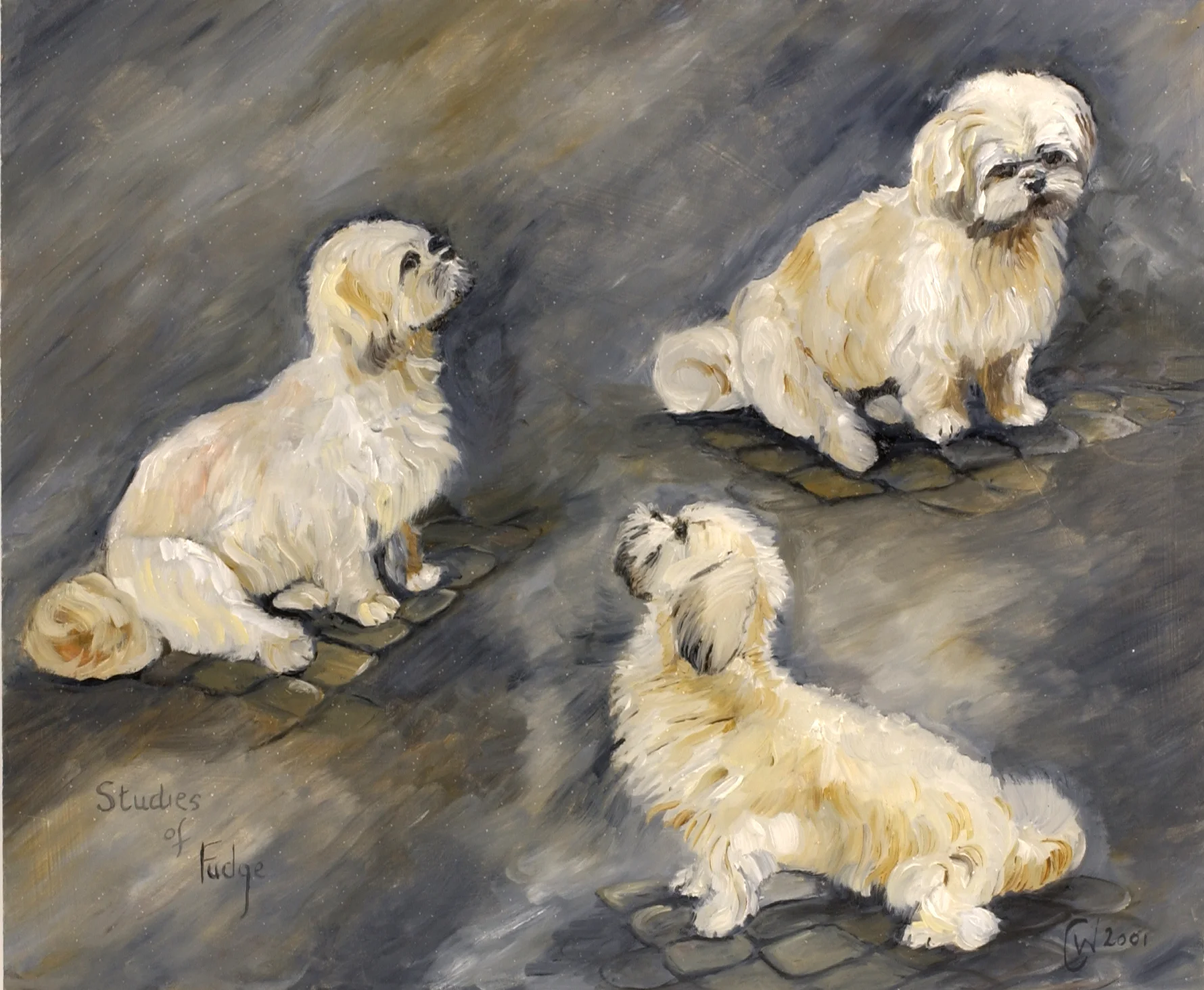 Studies of Fudge