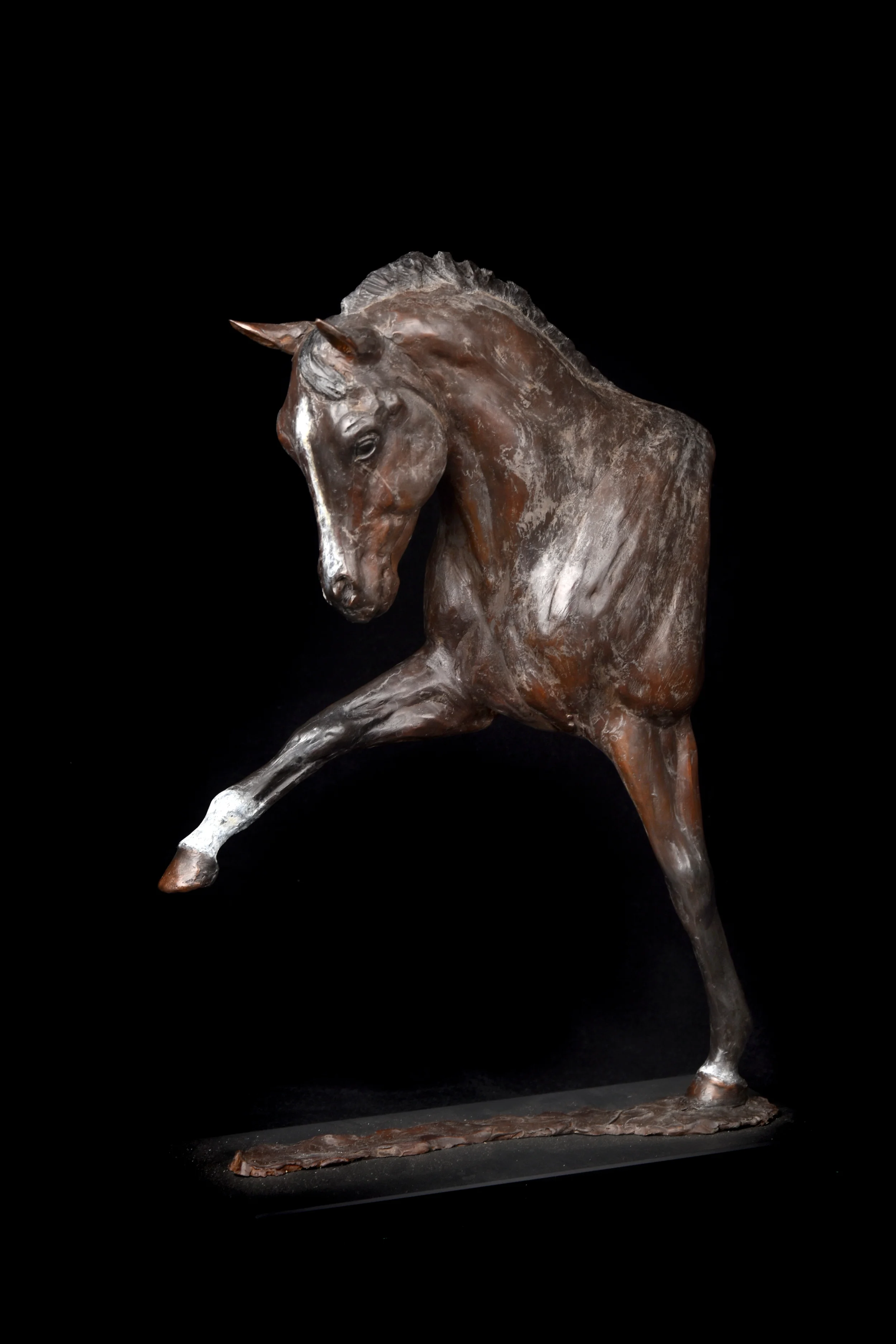 'Valegro'