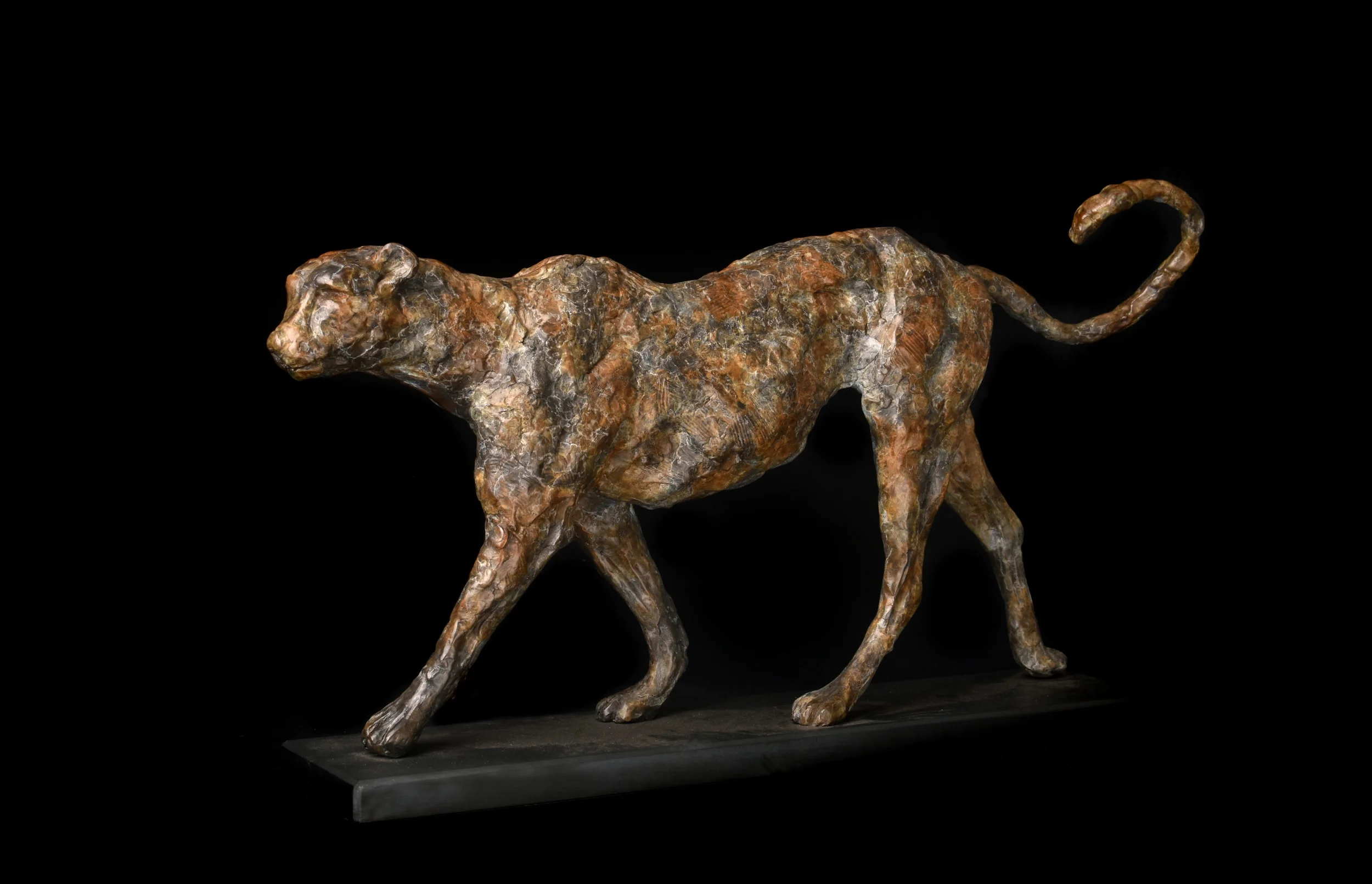 'Prowling cheetah'