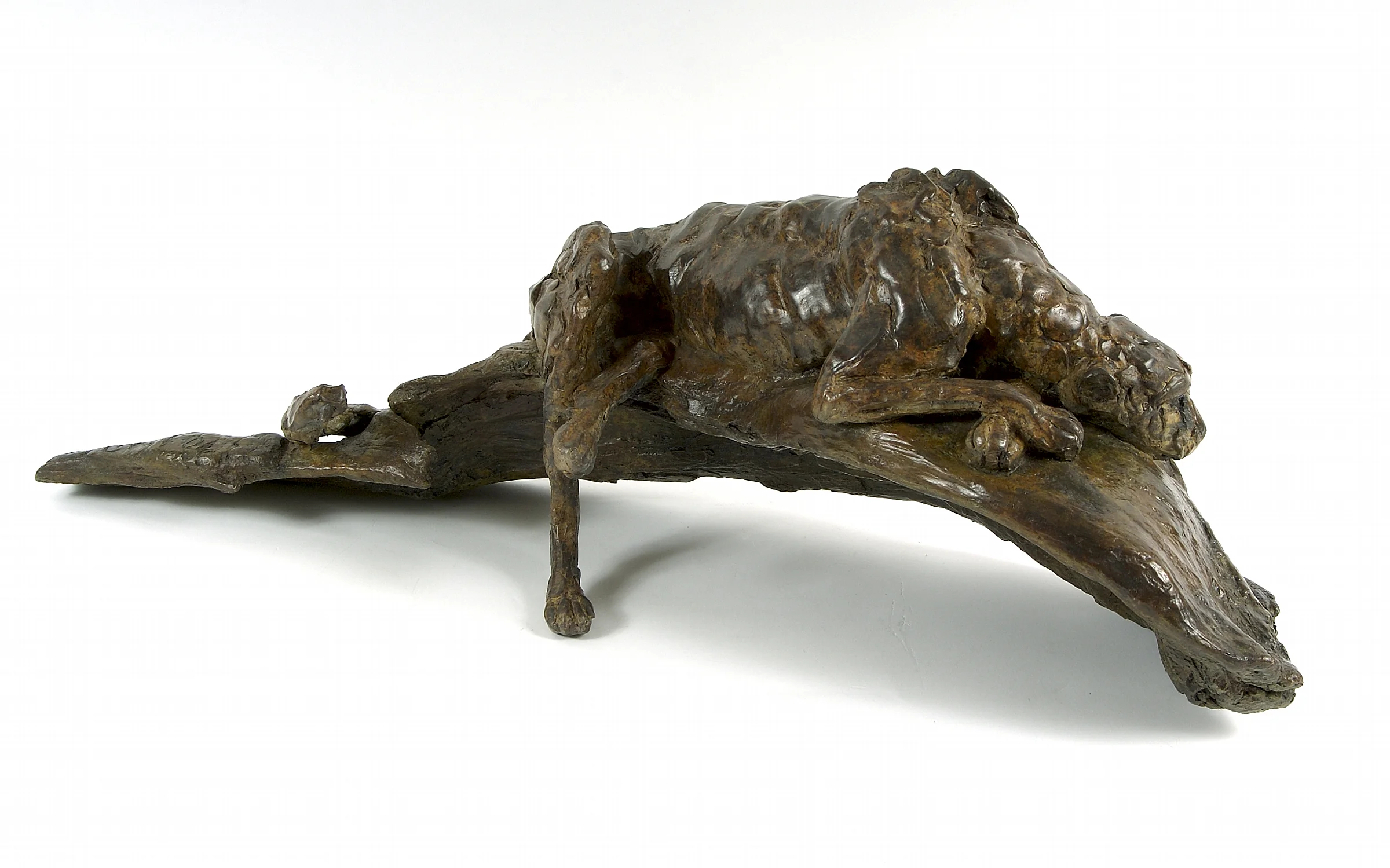 'Lounging cheetah'