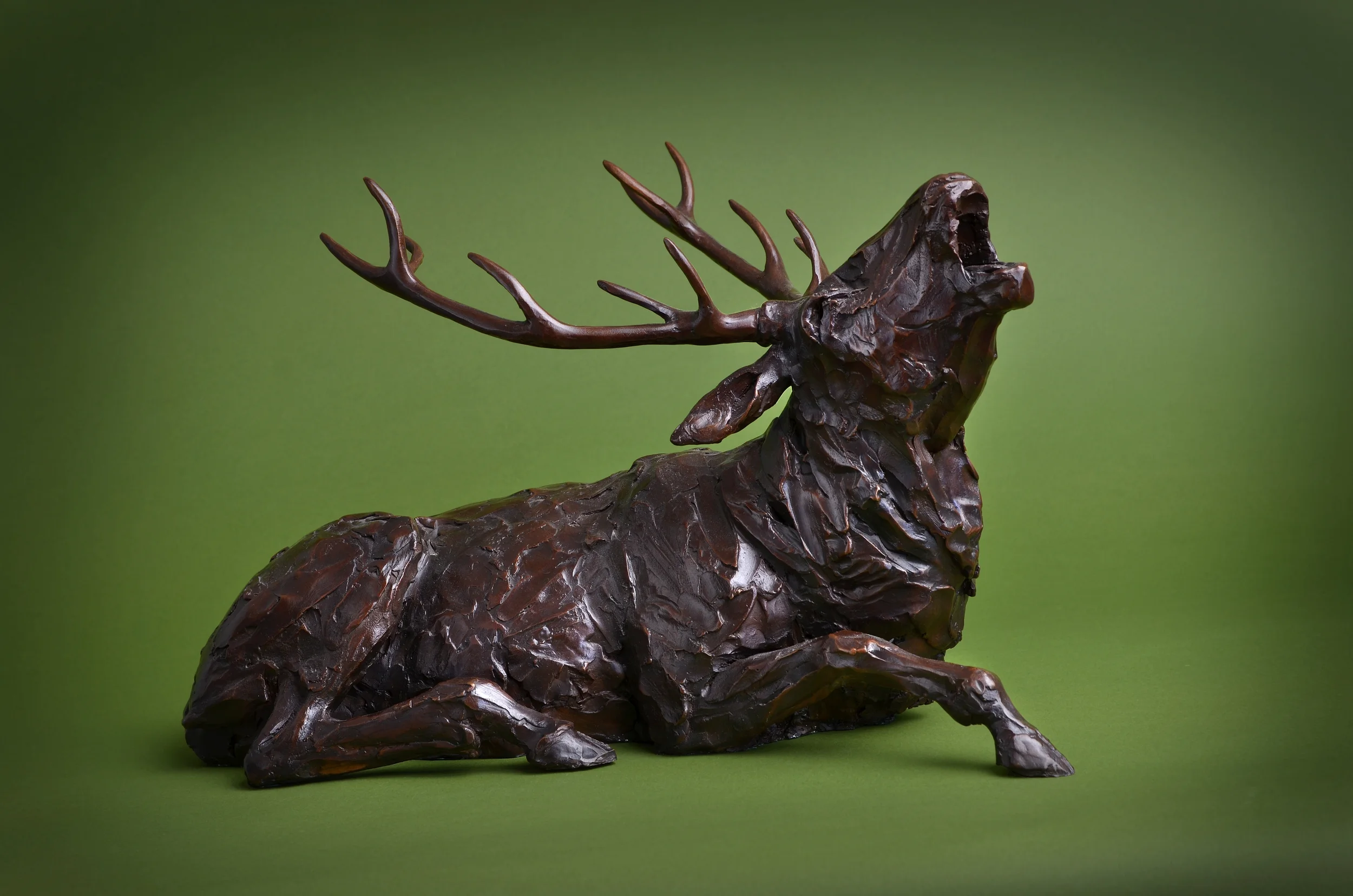 'Exmoor majesty'