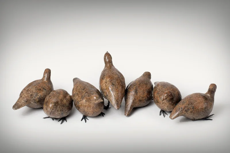 'A covey of partridge'