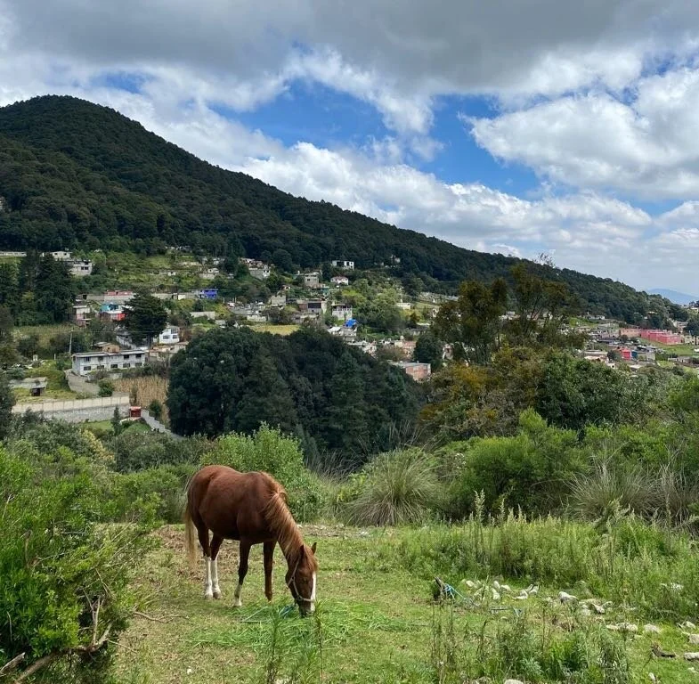 Viewsin Mexico2.jpg