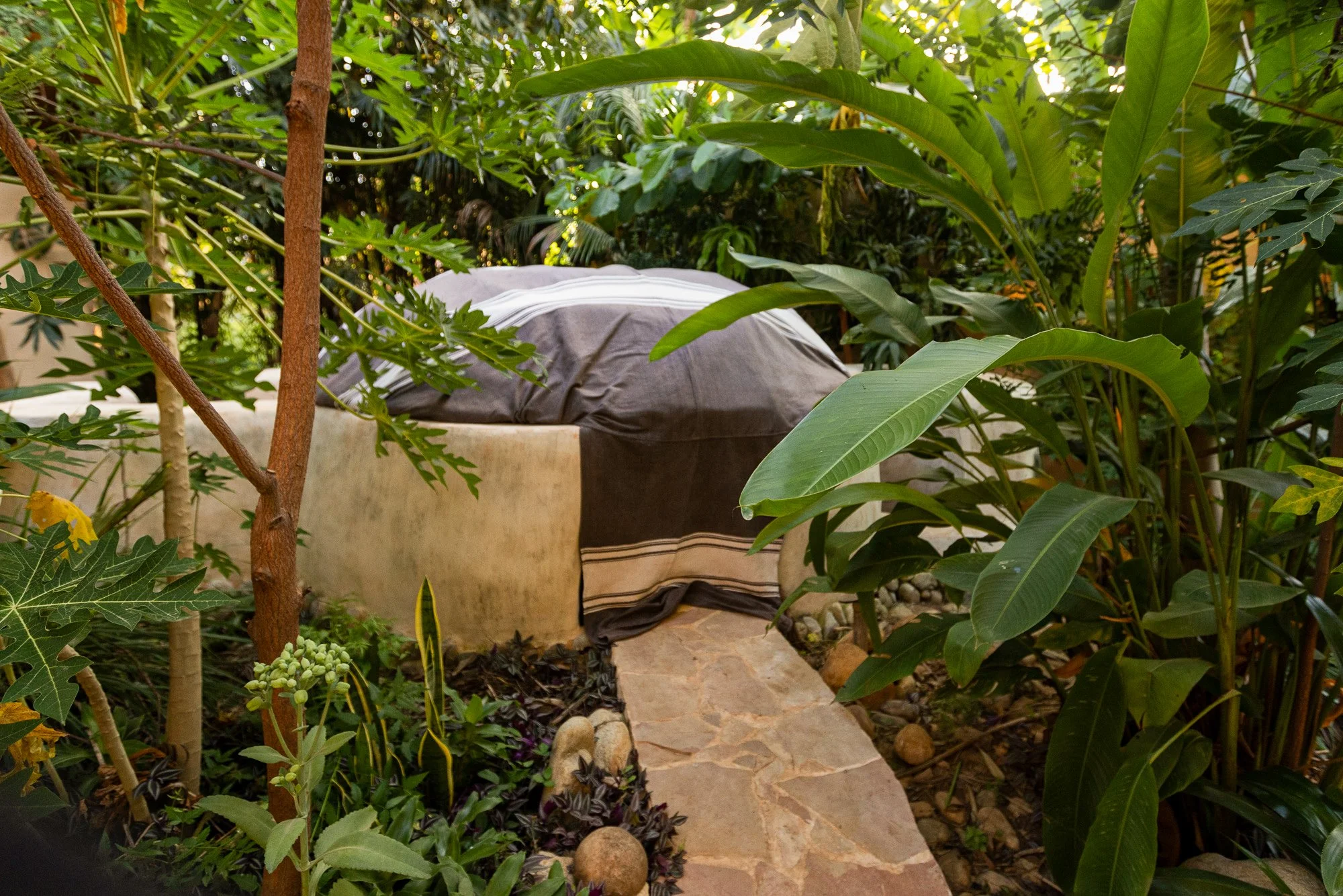 Barbarenas_Temazcal.jpg