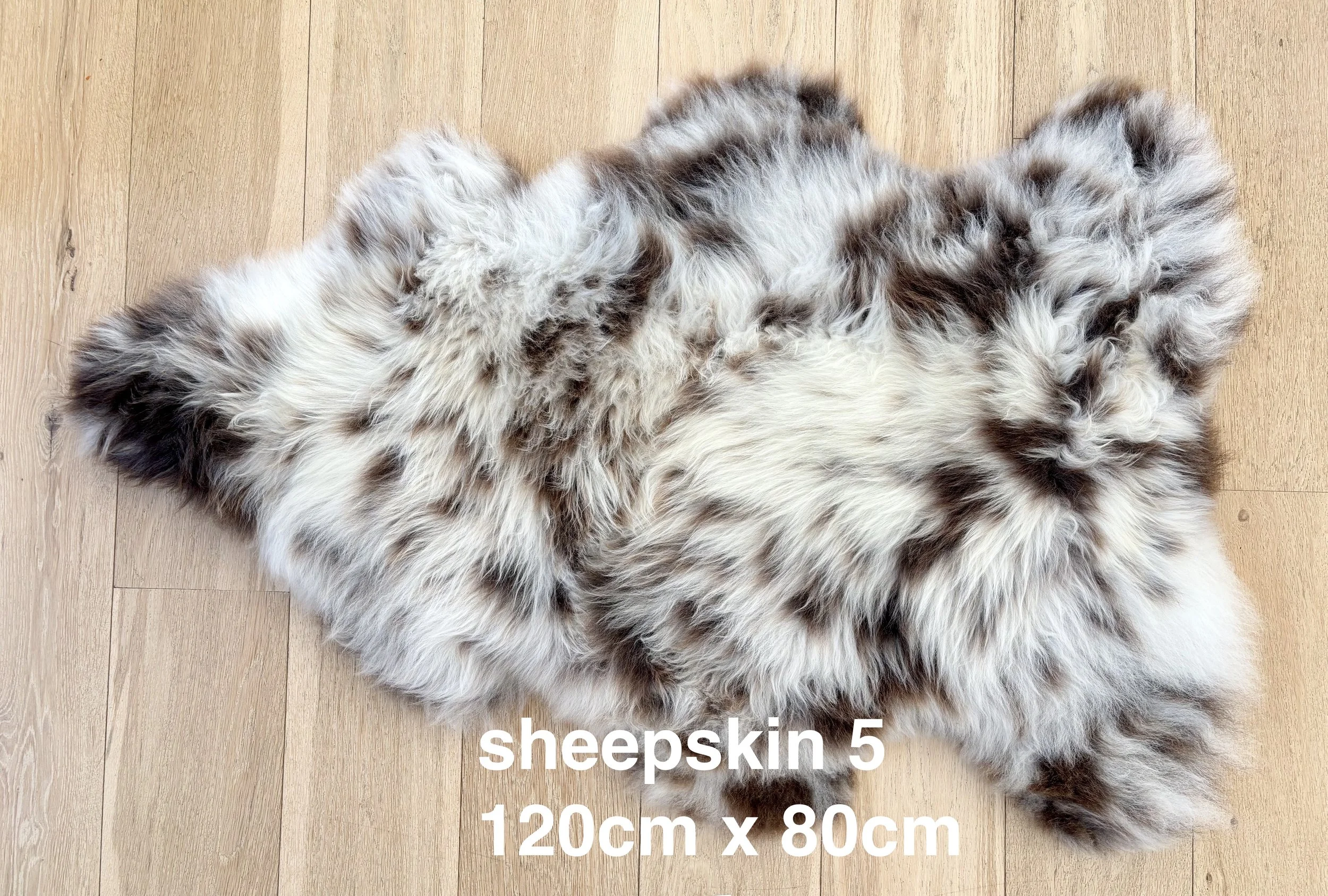 sheepskin 5 web.jpg