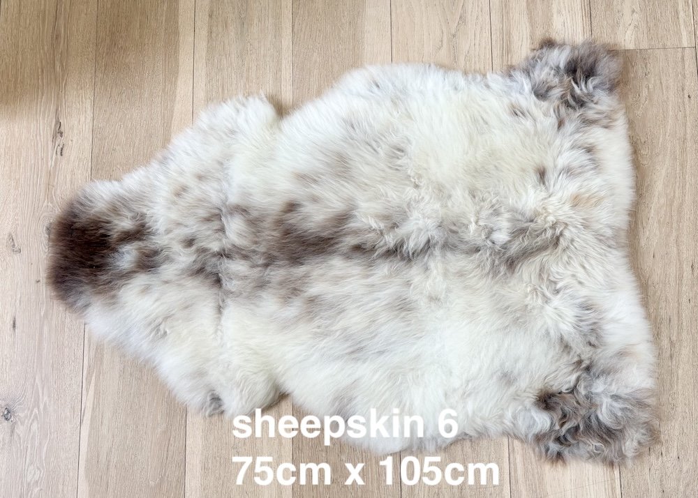 sheepskin 6 web.jpeg