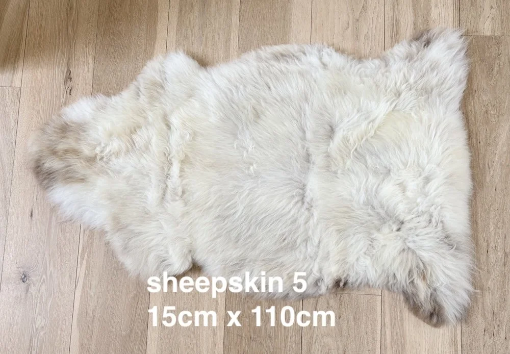 sheepskin 5 web.jpeg