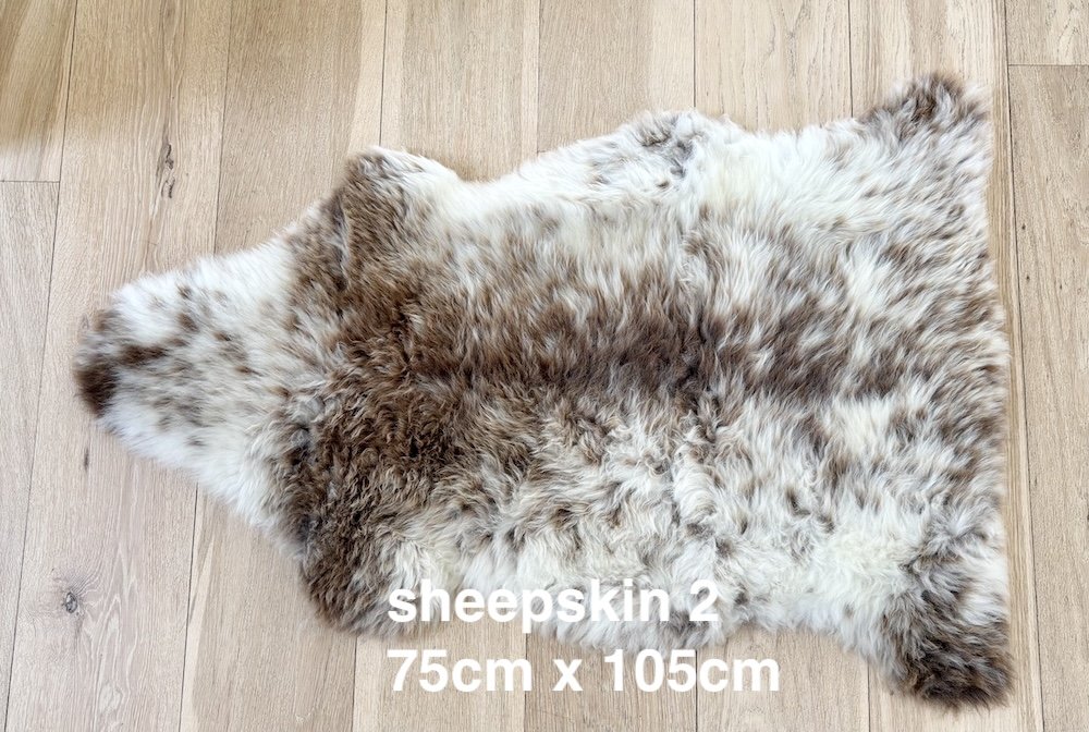 sheepskin 2 web.jpeg