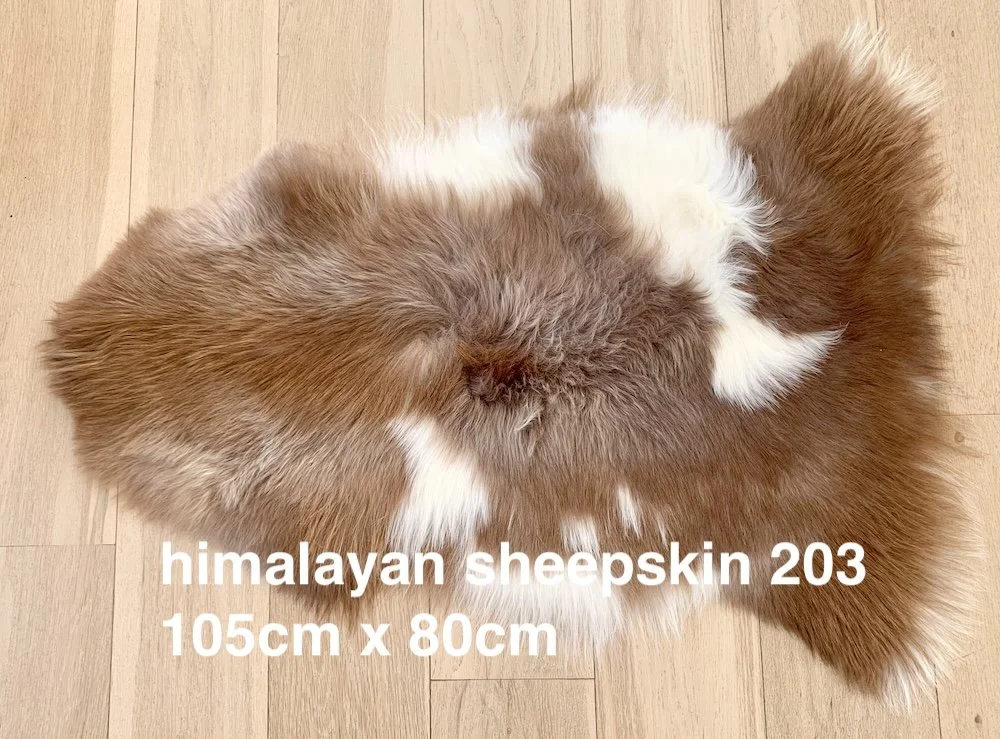 himalayan skin 203.jpeg