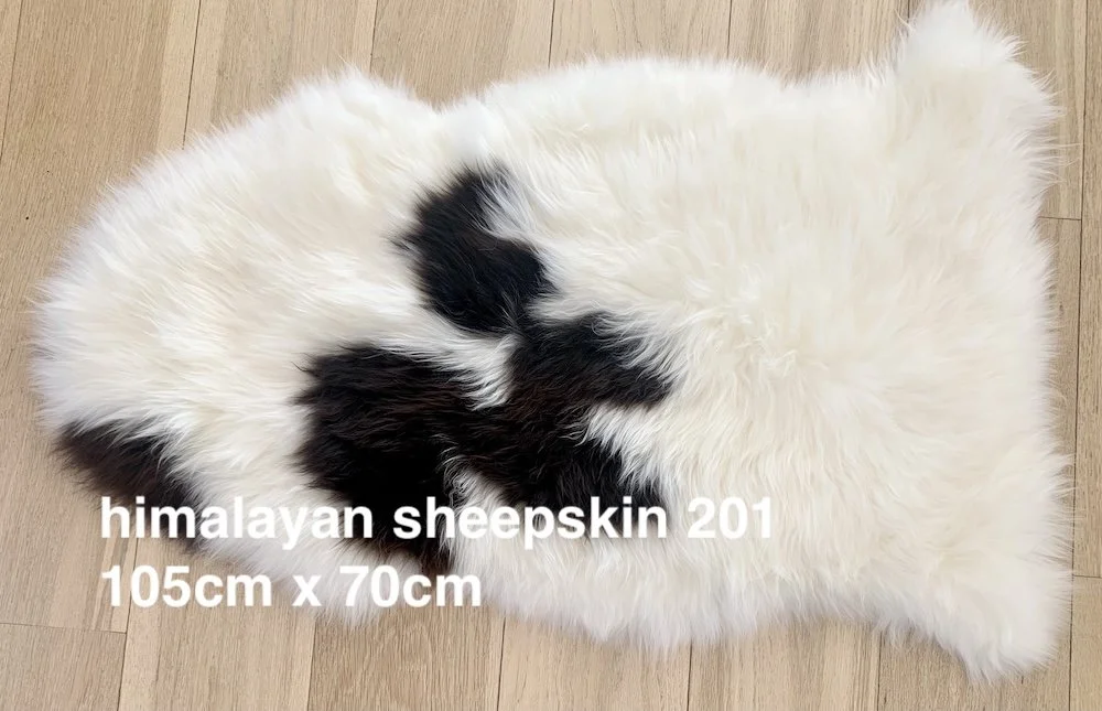 himalayan skin 201 web2.jpg