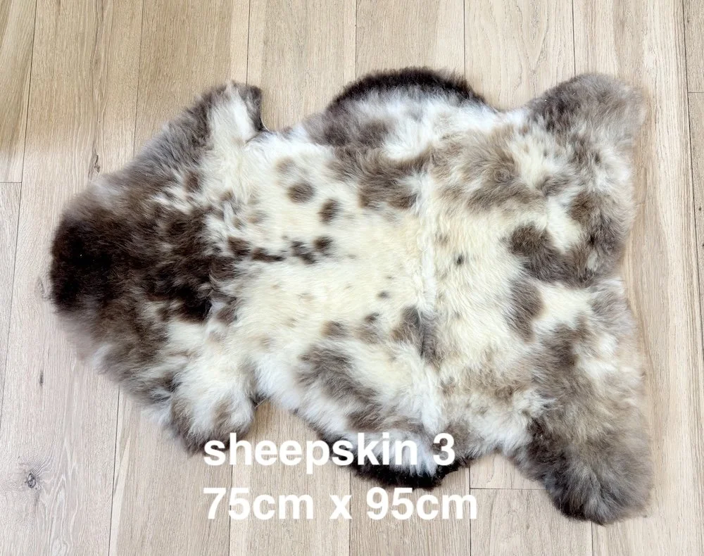 sheepskin 3 web.jpeg