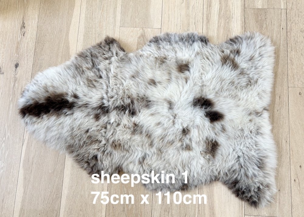 sheepskin 1 web.jpg