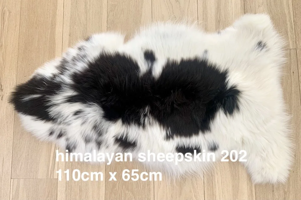 himalayan skin 202 web.jpg