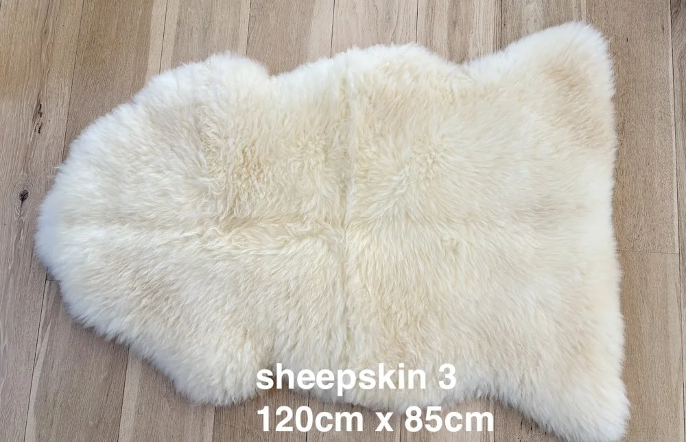 sheepskin 3 web.jpeg