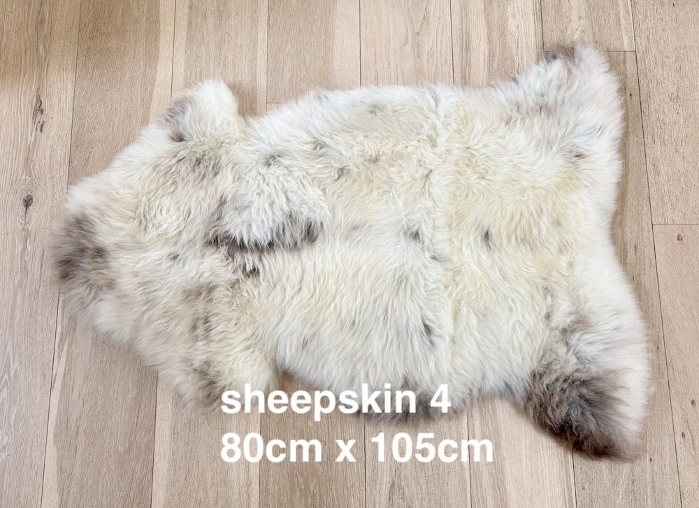 sheepskin 4 web.jpeg