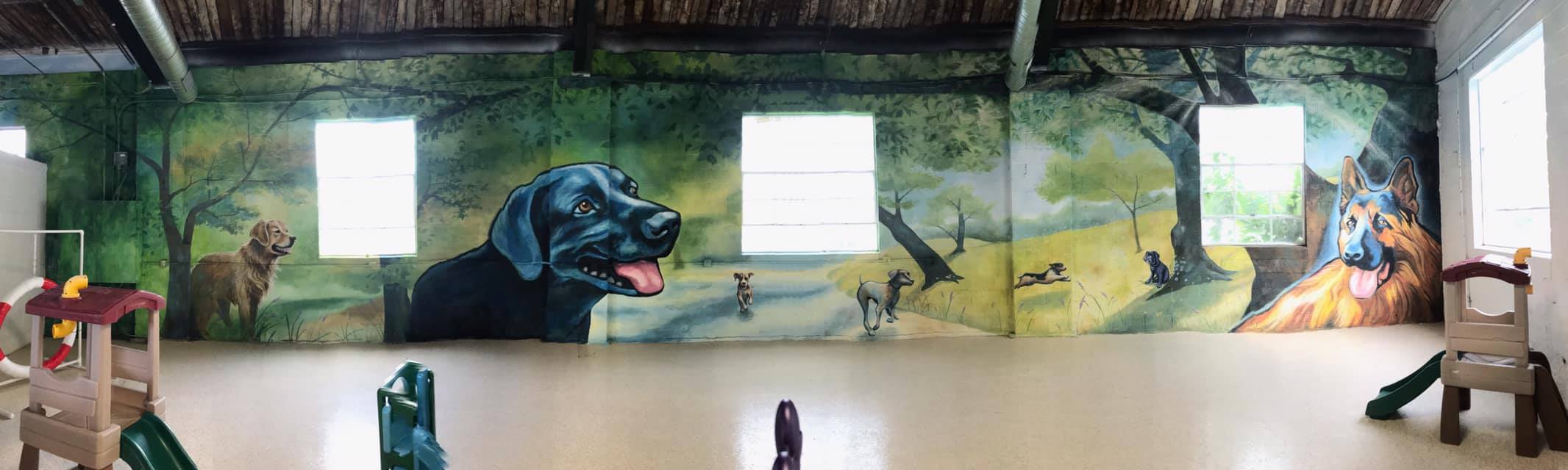 Tao’s mural at Wagging Tails Pet Resort & Spaw, West Hartford ’s only indoor dog park. Focal wall completed in 2019.