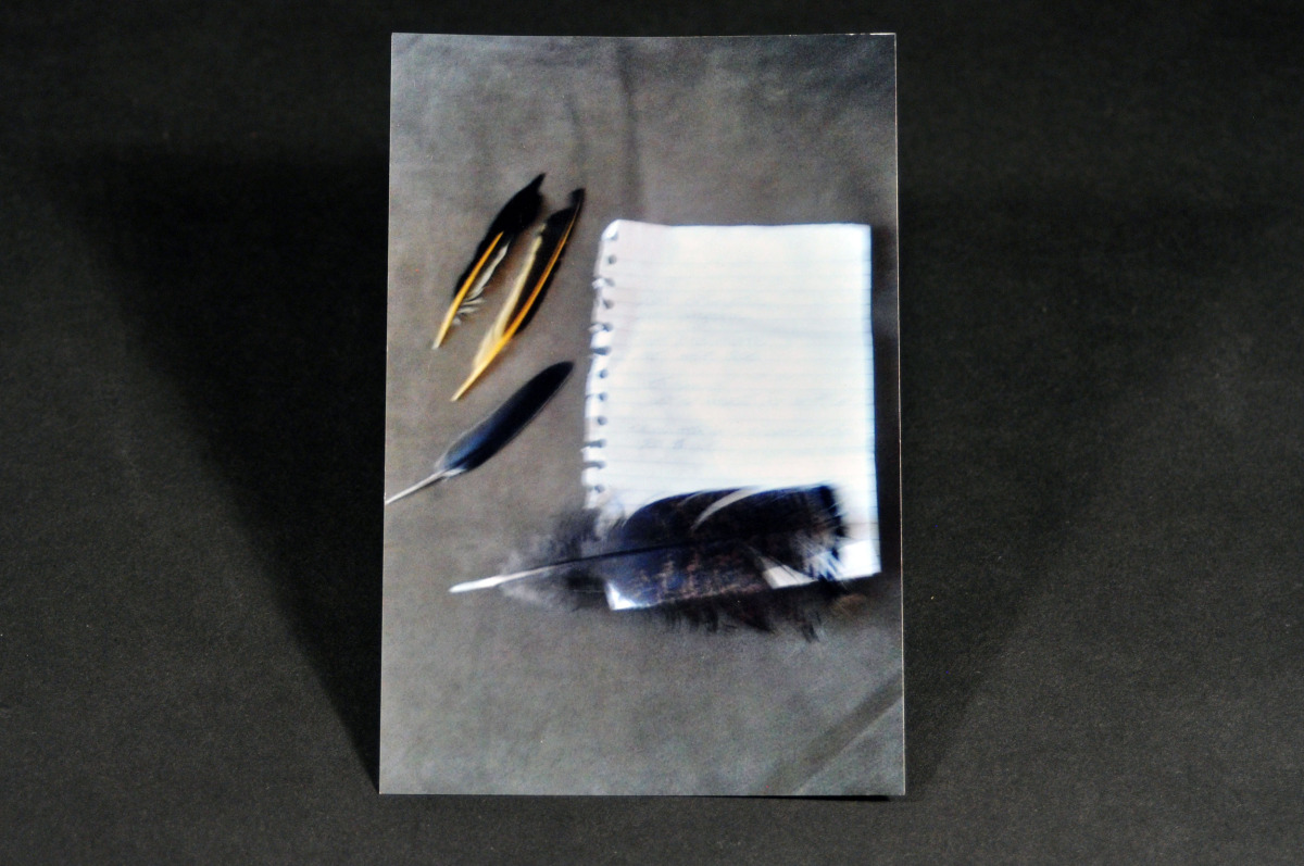 A photo of bird feathers and poem written after a meditation representing Self Actualization.