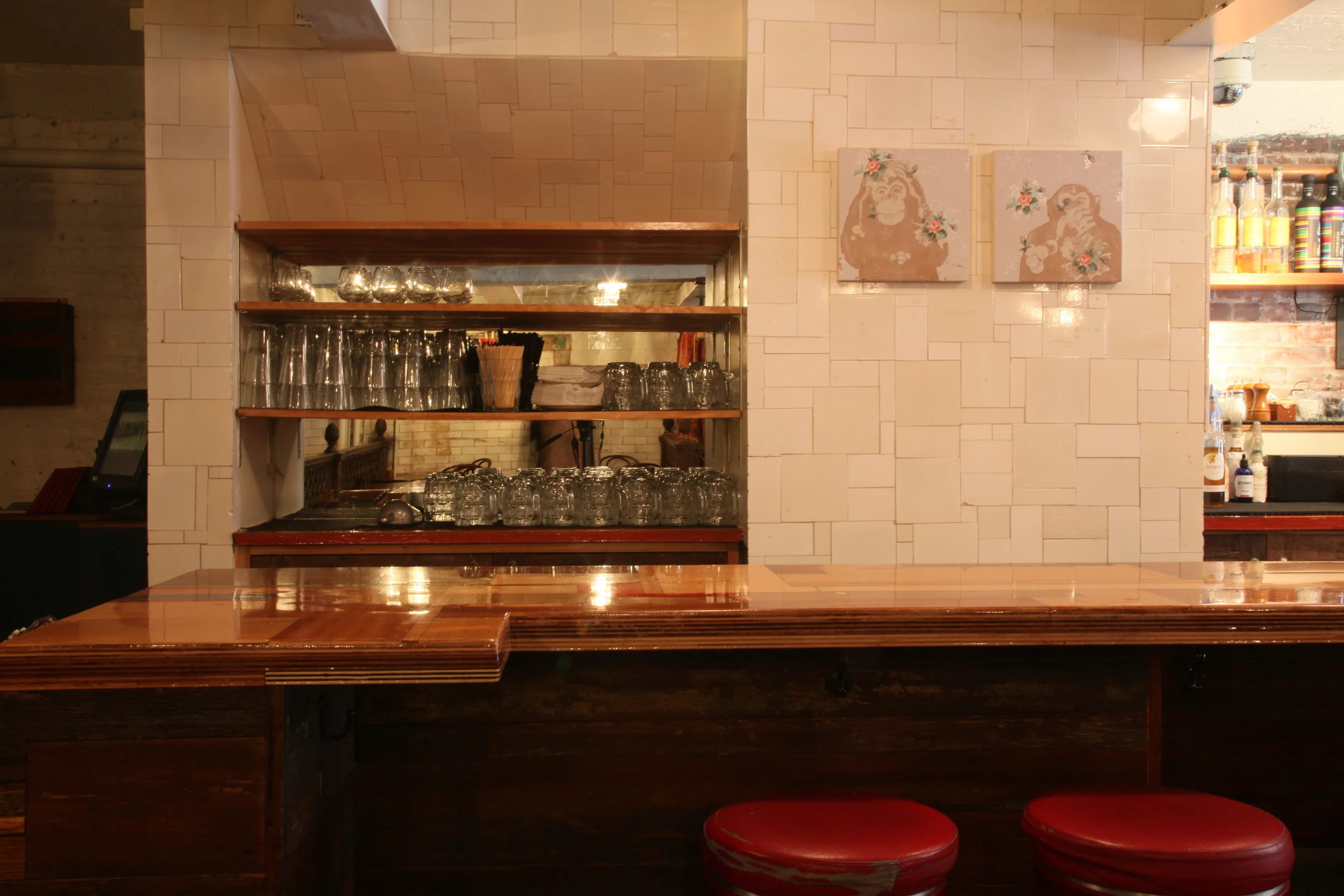   Three Black and White Monkeys  by Amy MacDonald 