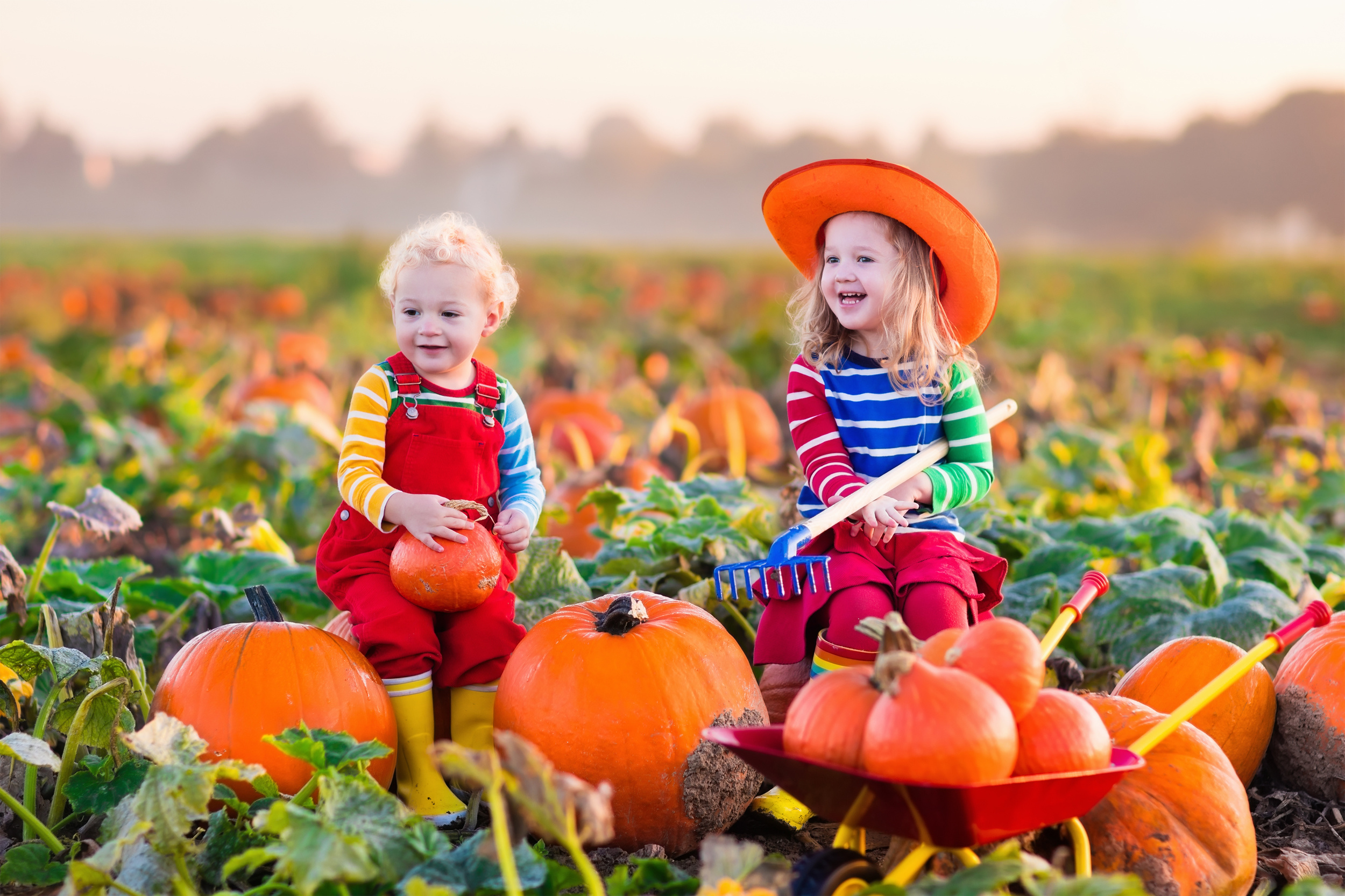 fall photoshoot ideas for toddlers