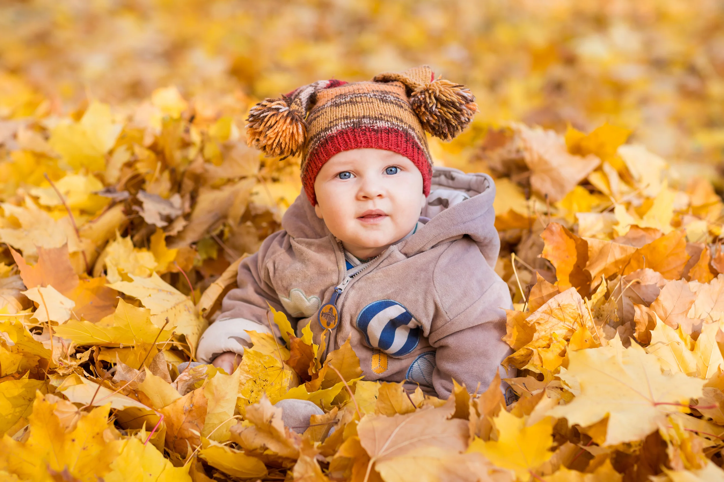 fall photoshoot baby