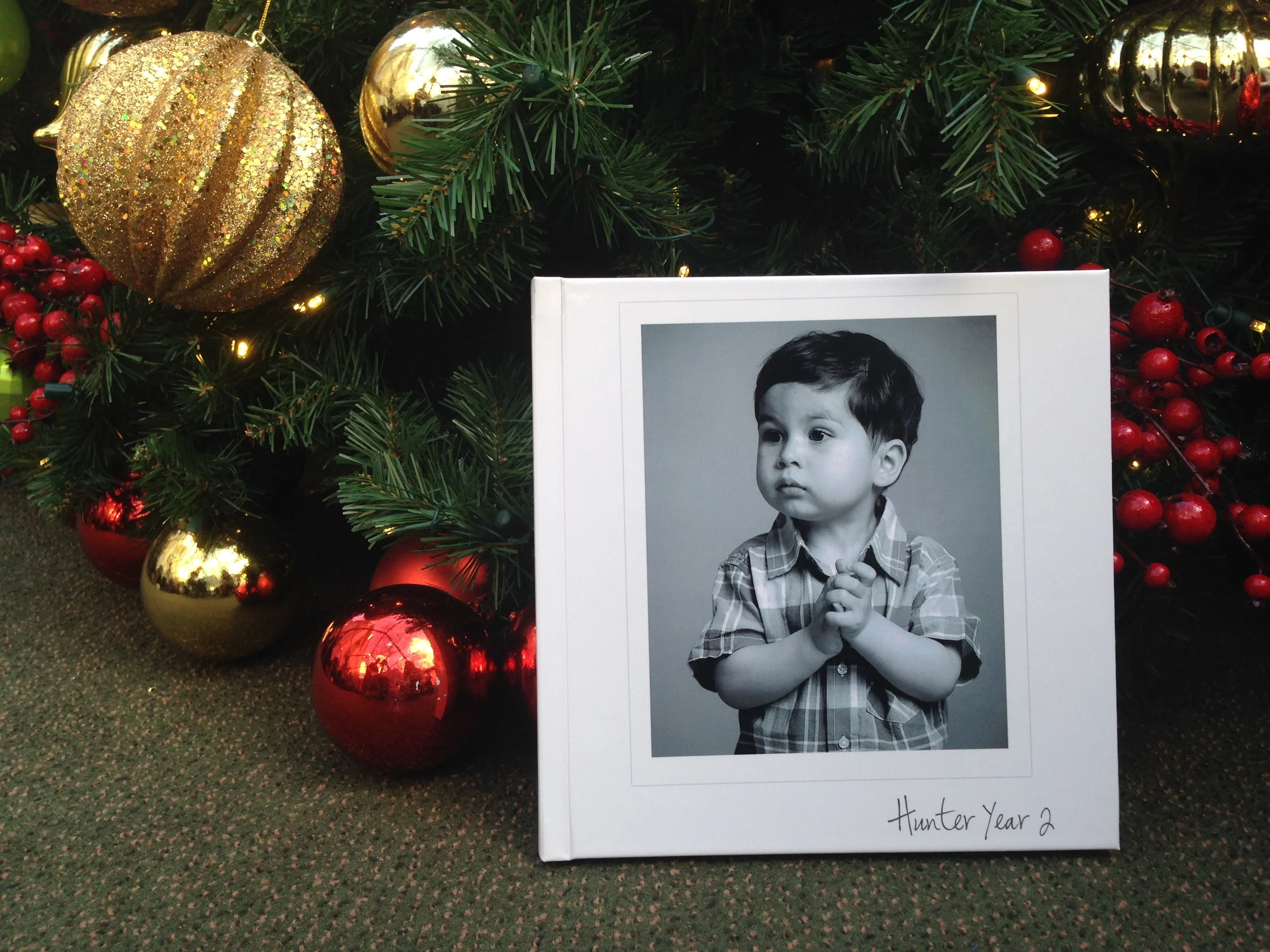 Customer Review - Beth F.