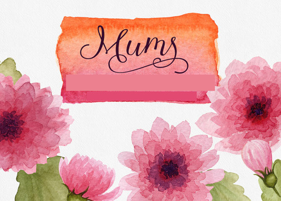 Watercolor Mums