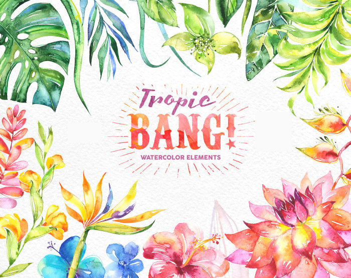 Tropic Bang