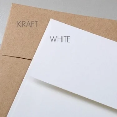 White & Kraft Envelopes