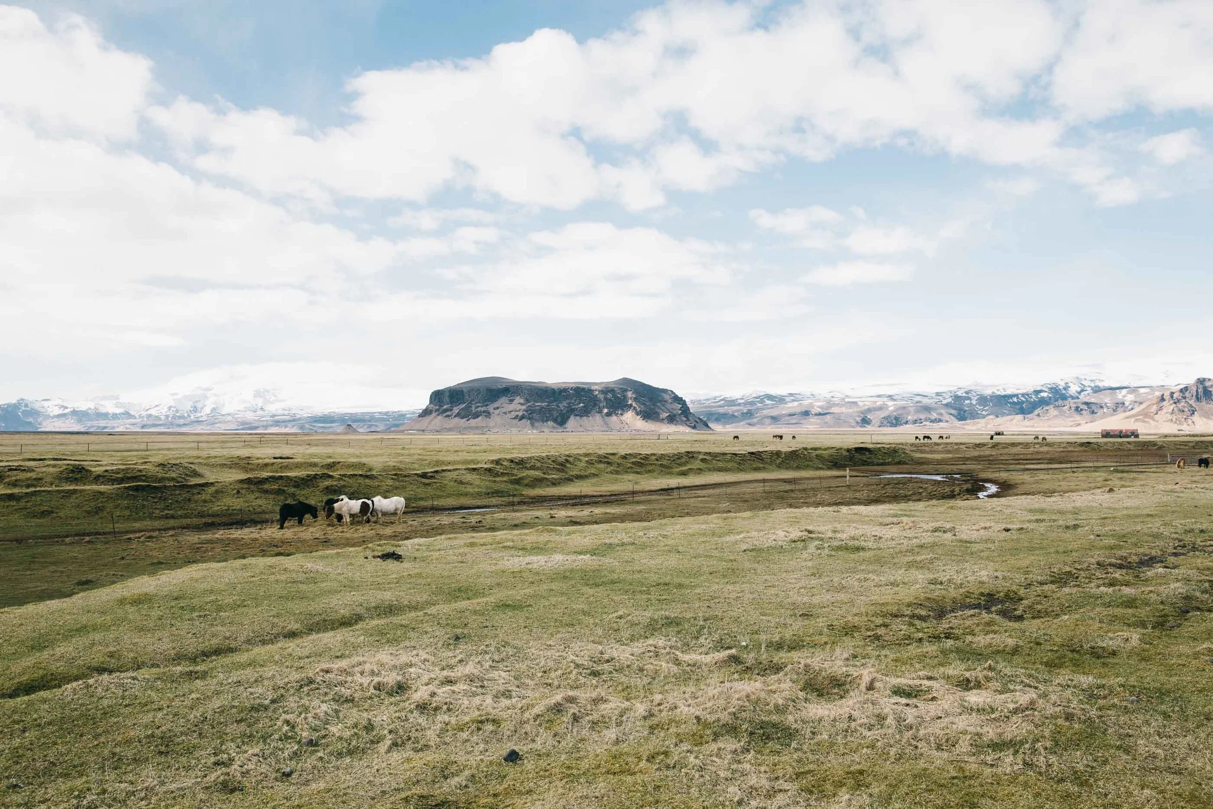 20150424_Iceland_0013-2.jpg