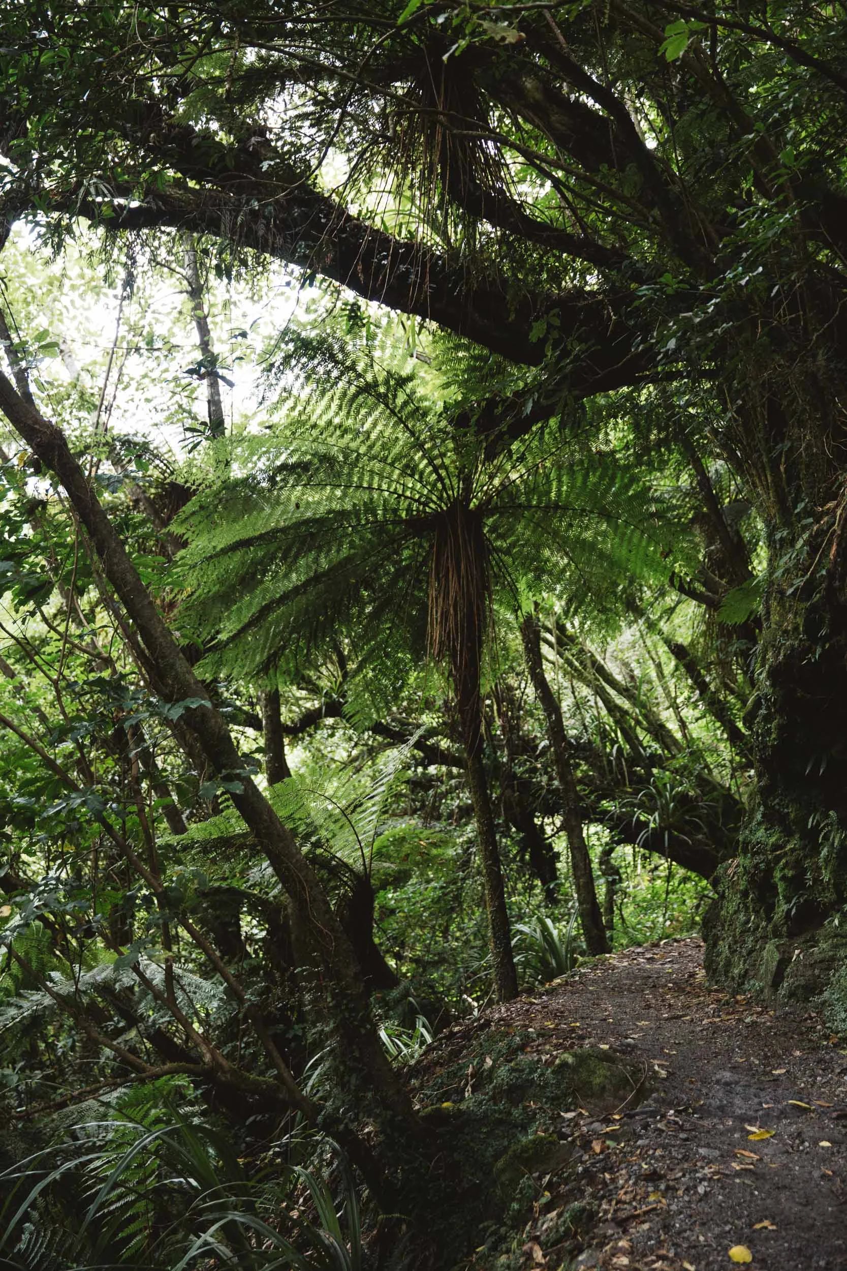 20160318_NZ_0154.jpg