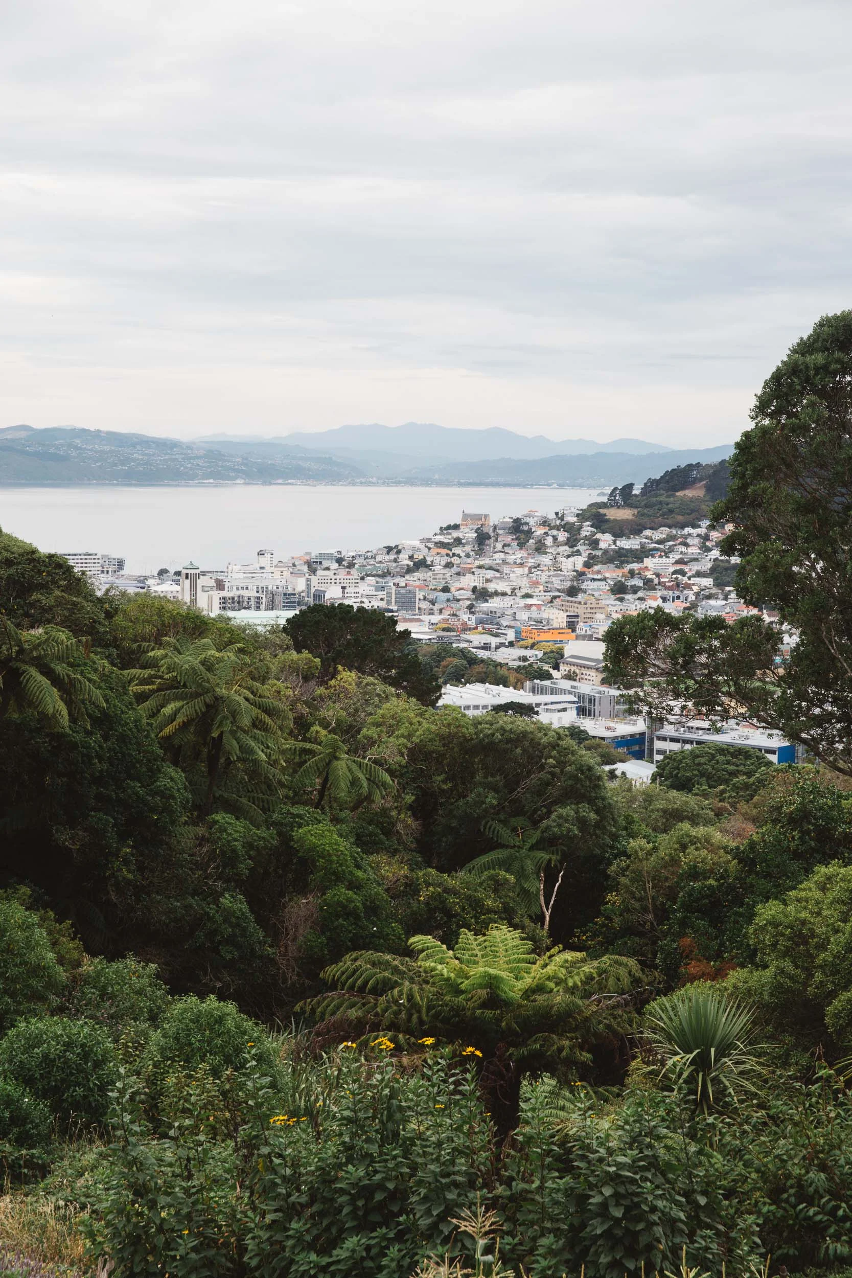 20160323_NZ_0008.jpg