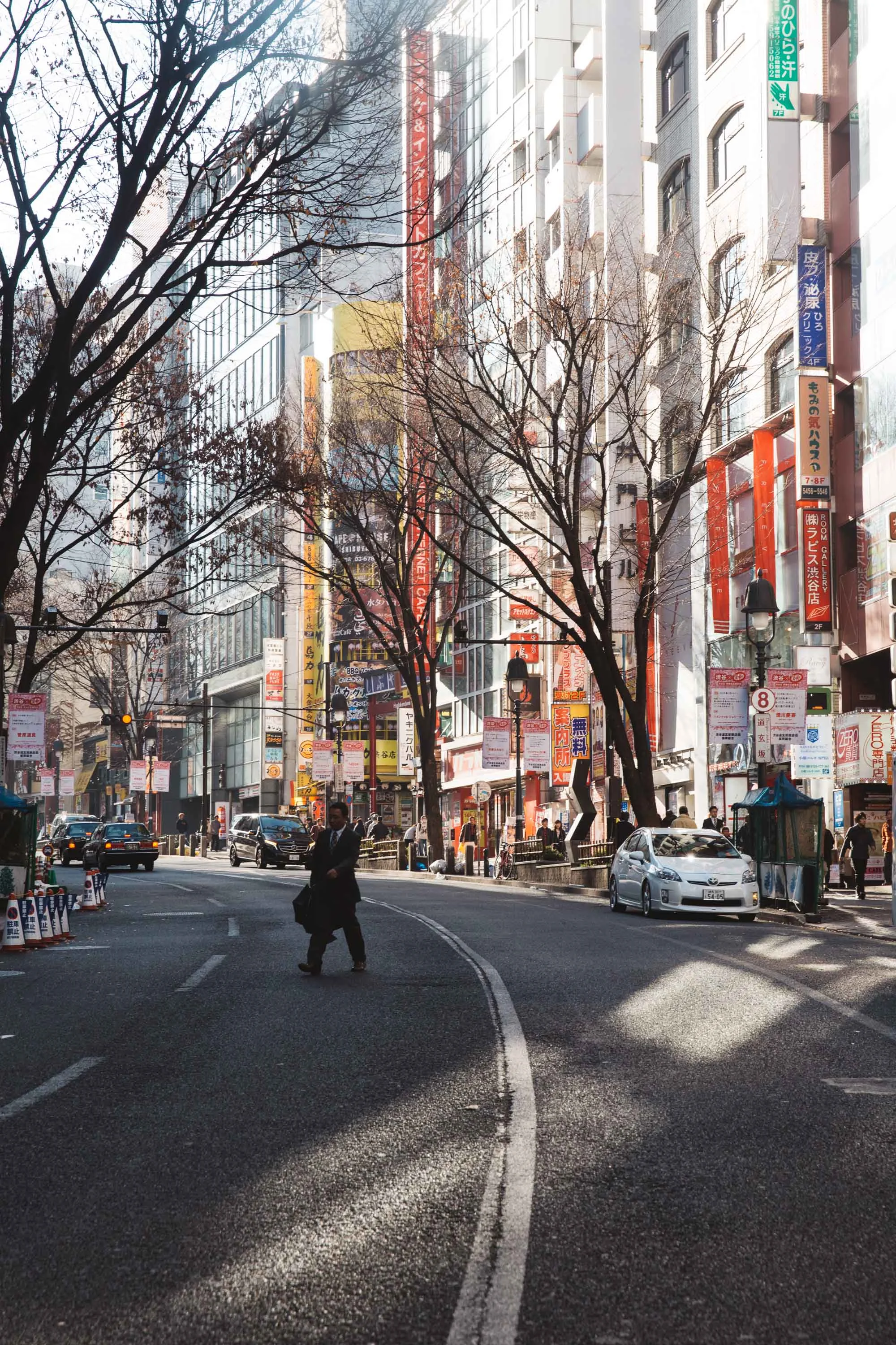 20160104_Tokyo_0196.jpg