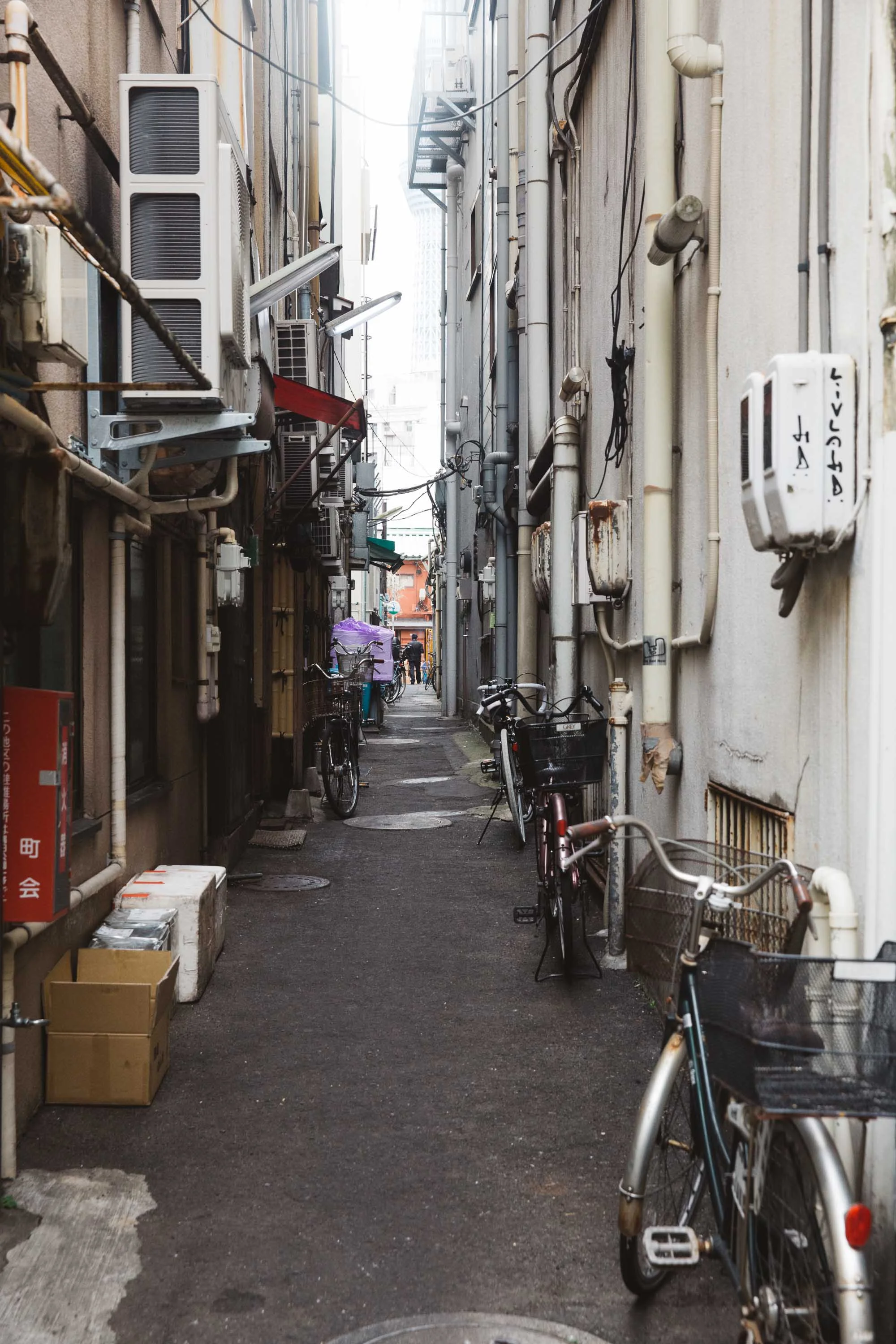 20160106_Tokyo_0250.jpg