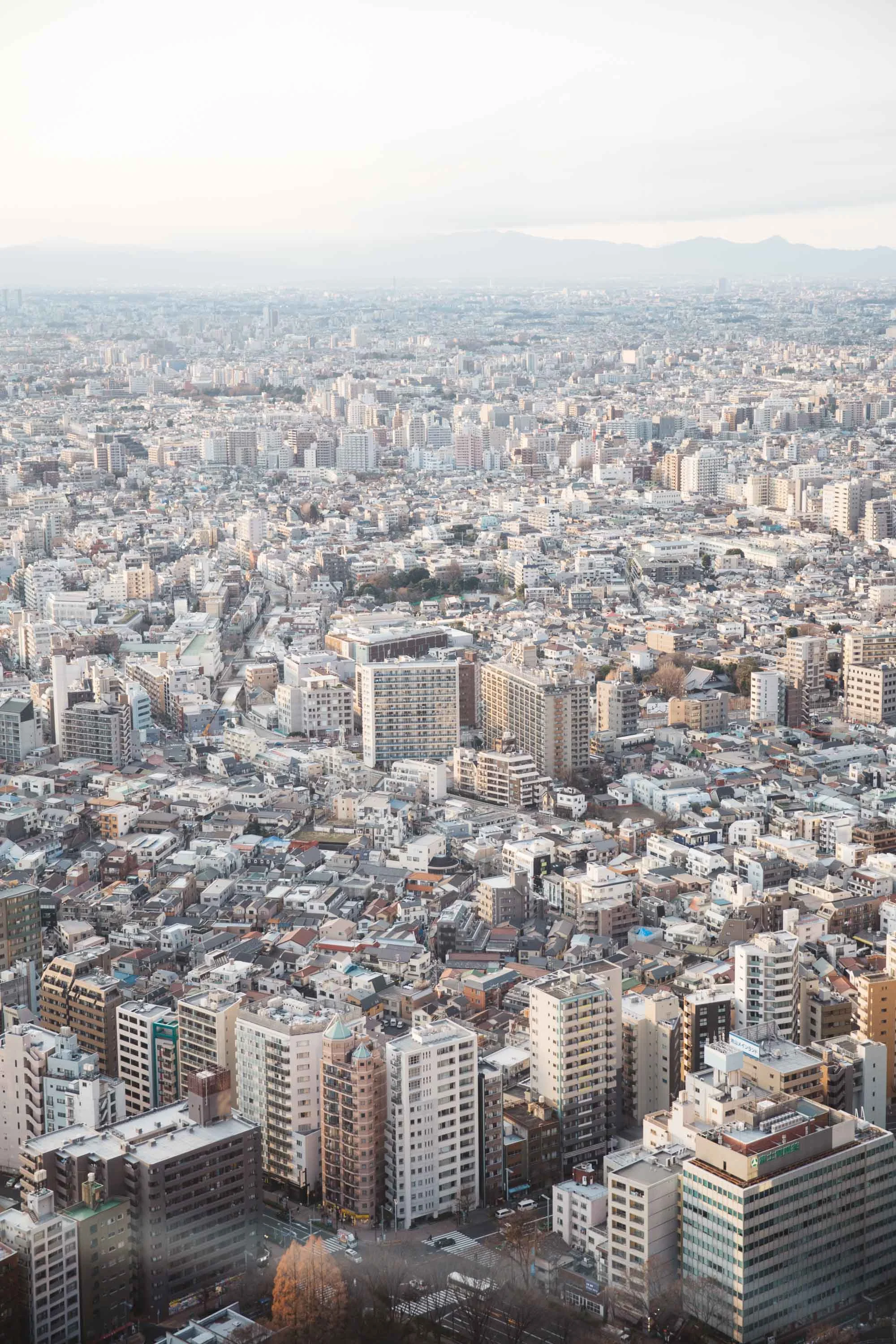 20160107_Tokyo_0597.jpg