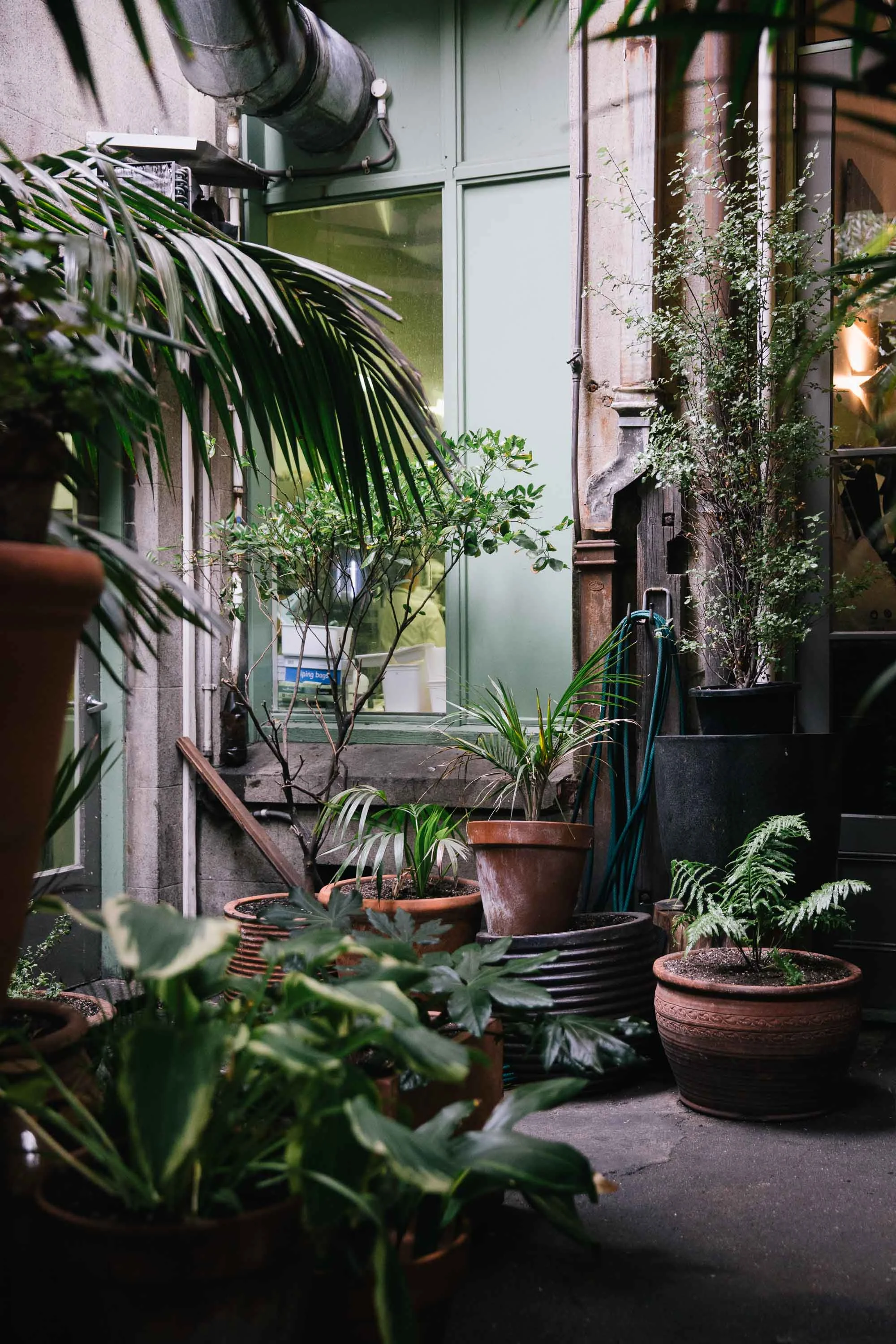 20160324_OliveCafe_0029.jpg