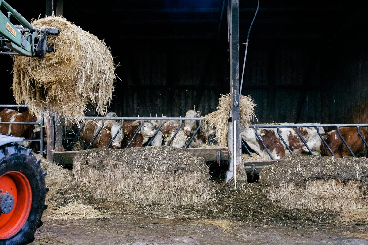 Farmer_HM_08.jpg