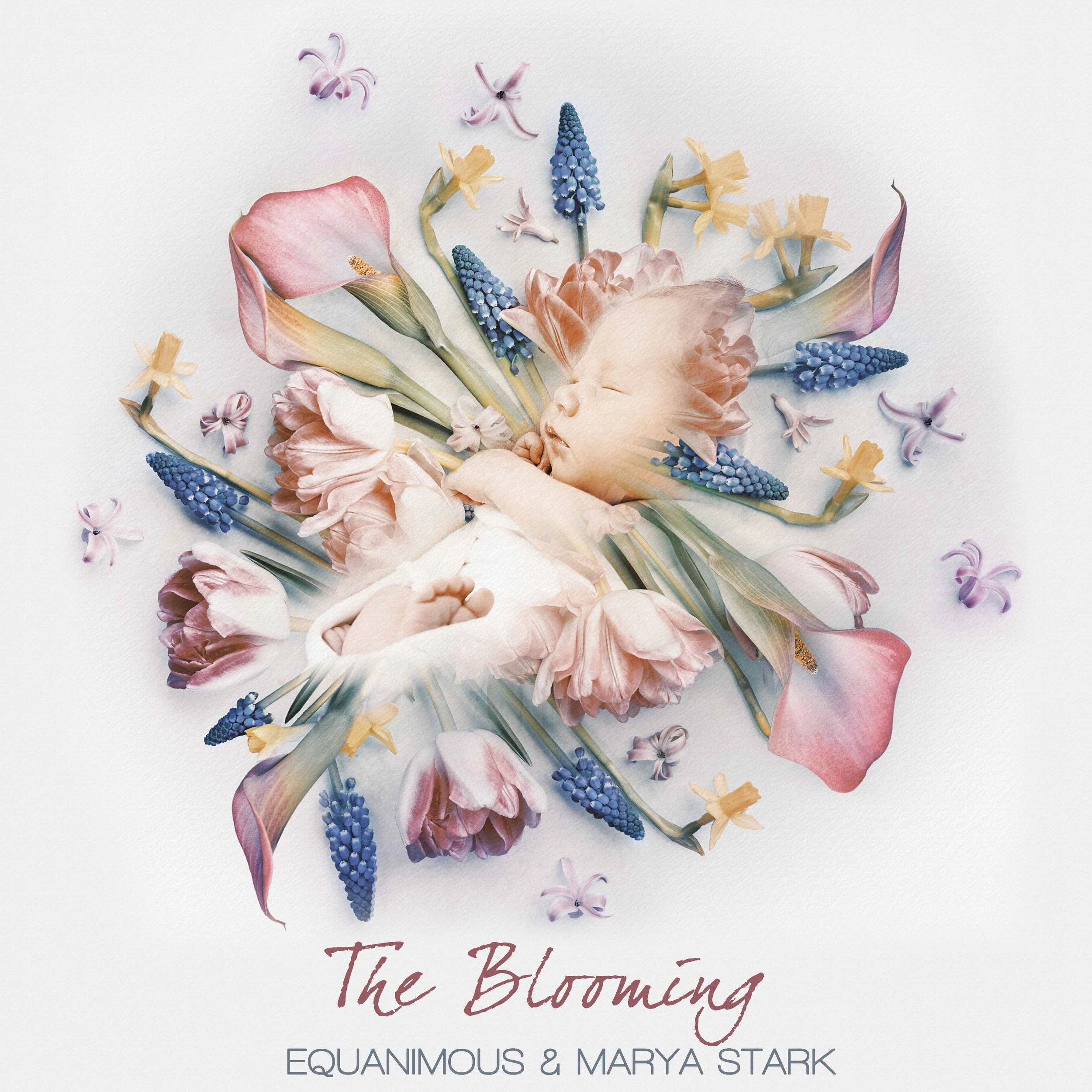 The Blooming Cover- small.jpg
