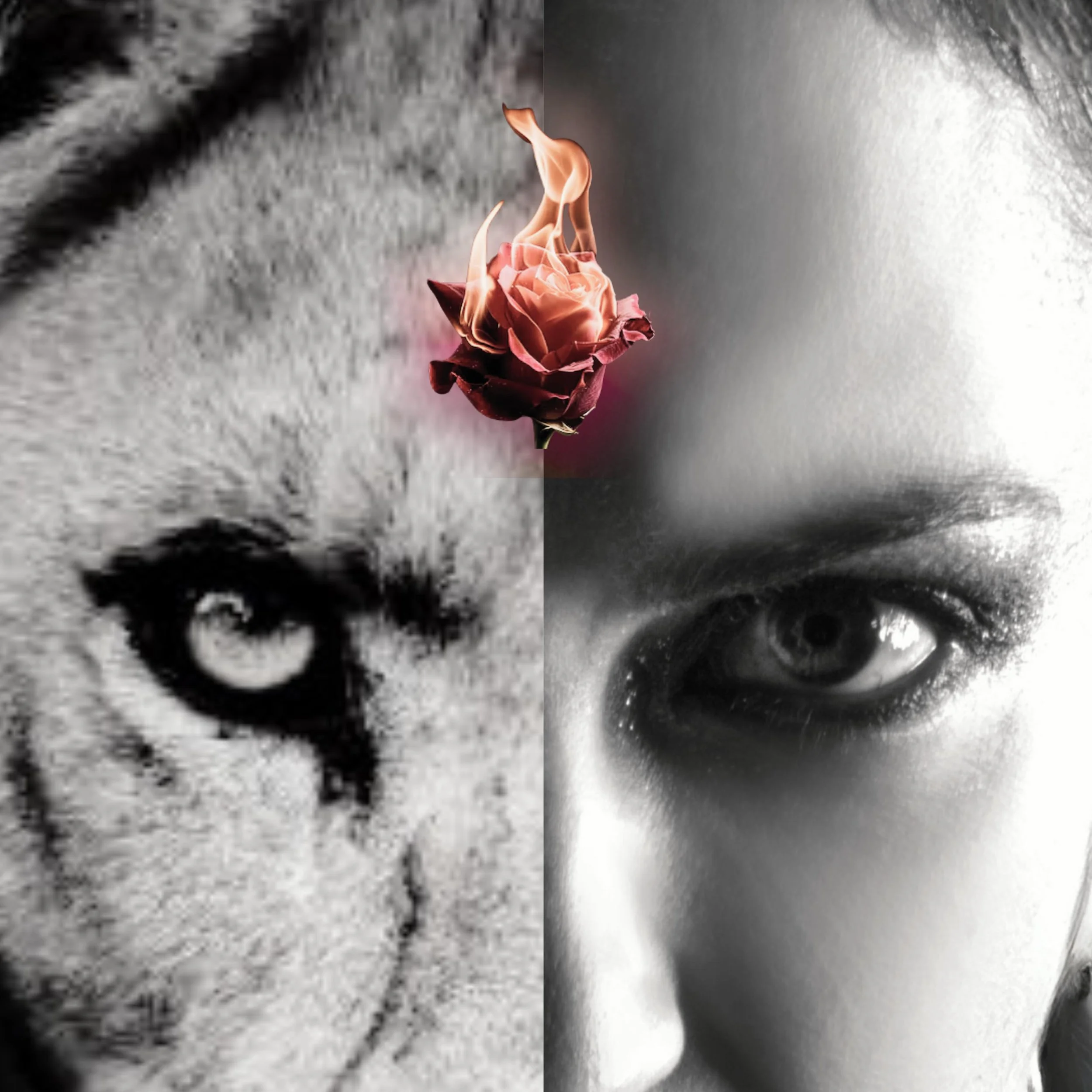 Matriarchal Roar

Do you hear it coming??

This song, crowdsourced and co-written with you just a few months ago is being released this Friday!!

A song for the movement, for calling our spirits into action, to allow our fierce love to rise through u