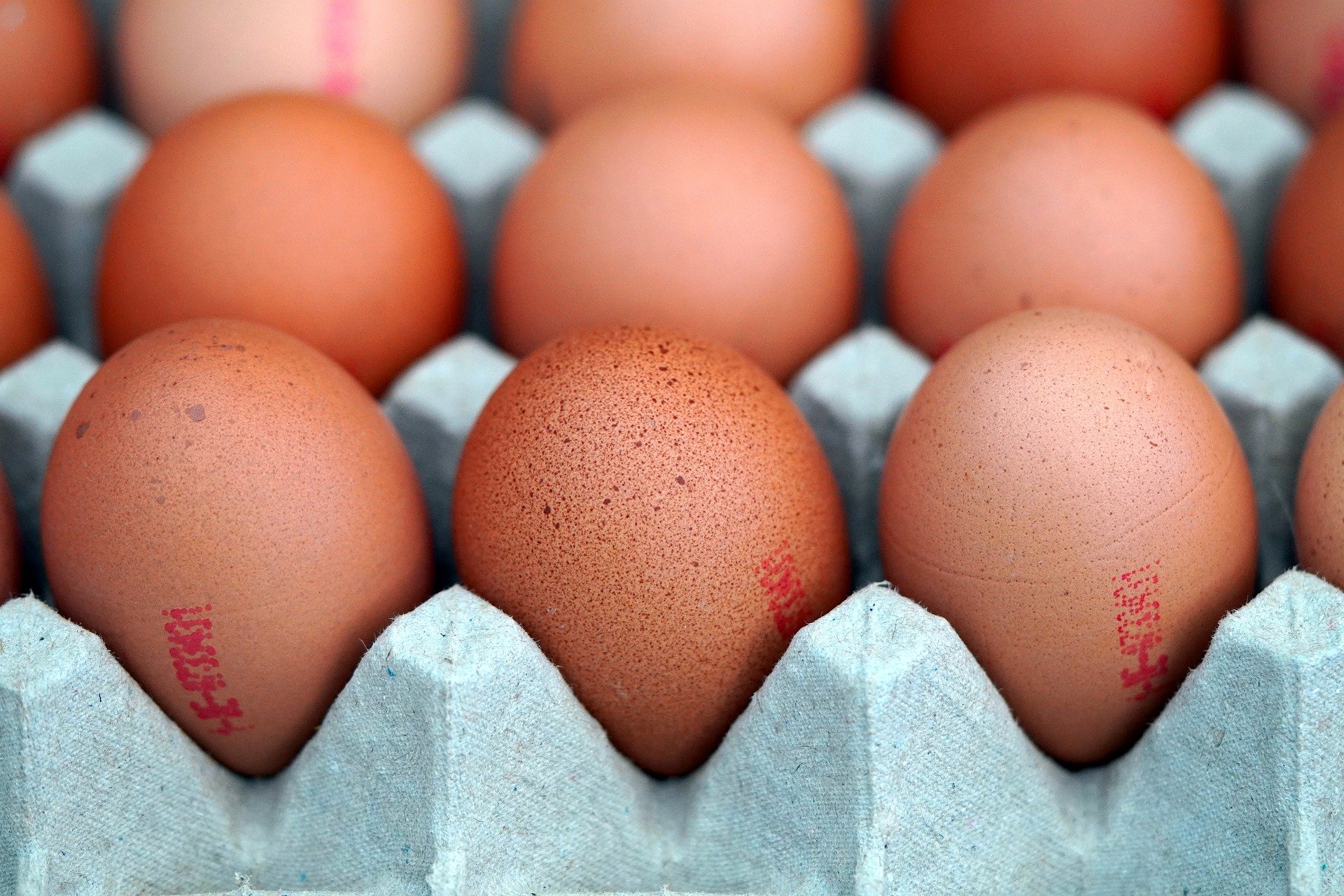 Egg powder London Hijama Clinic