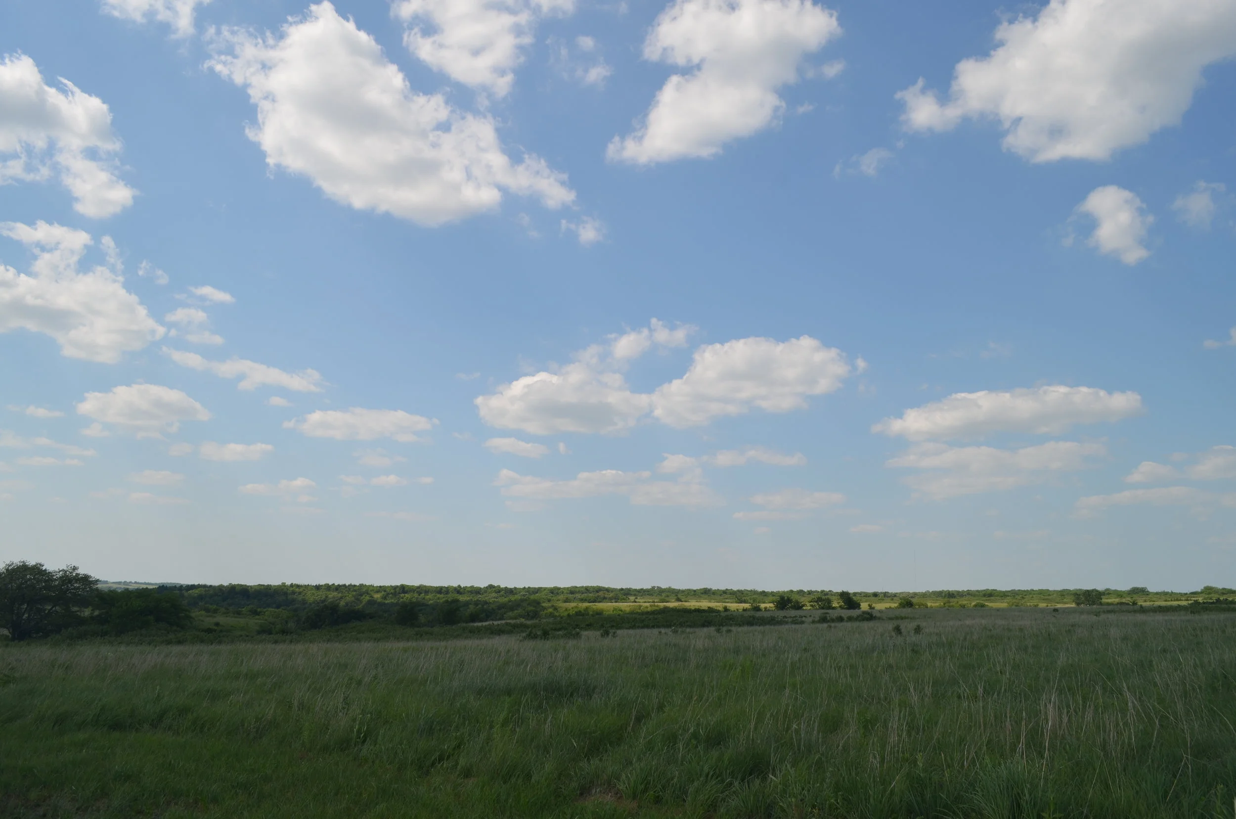 Master Planning Study of Camps Daisy Hindman, Prairie Schooner and Tongawood