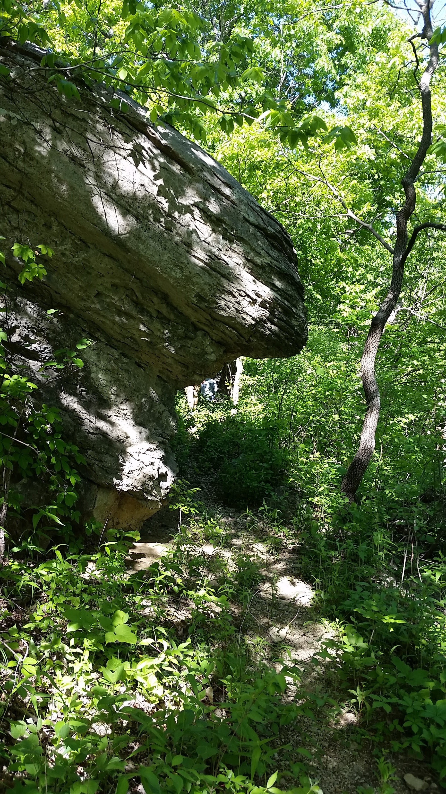 Landscape Character and Form. Each of the three camps is characterized by unique, dramatic landscapes. Camp Daisy Hindman is largely wooded, with ridges, slopes and rock outcrops as illustrated in the above image above. Camp Prairie Schooner is characterized by a large central and wooded stream valley and tallgrass prairie ridges and slopes as shown in the image to the left. Camp Tongawood's key features include a wooded slope (similar to Prairie Schooner) and a large wetland and meadow.