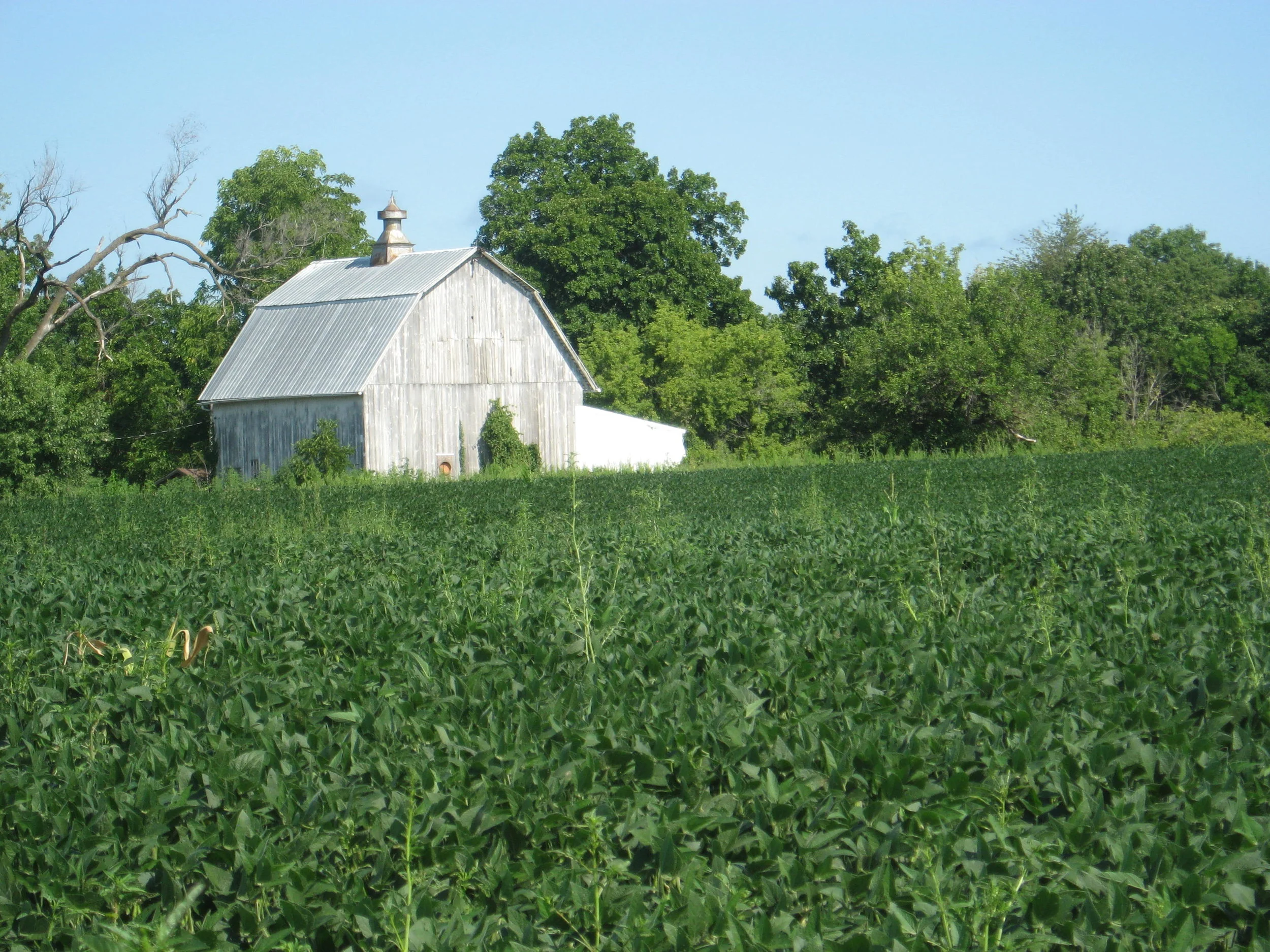 Farm-to-Conservation-Area