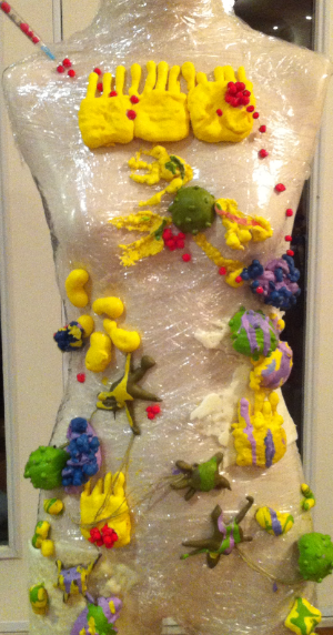 The Immunological Response