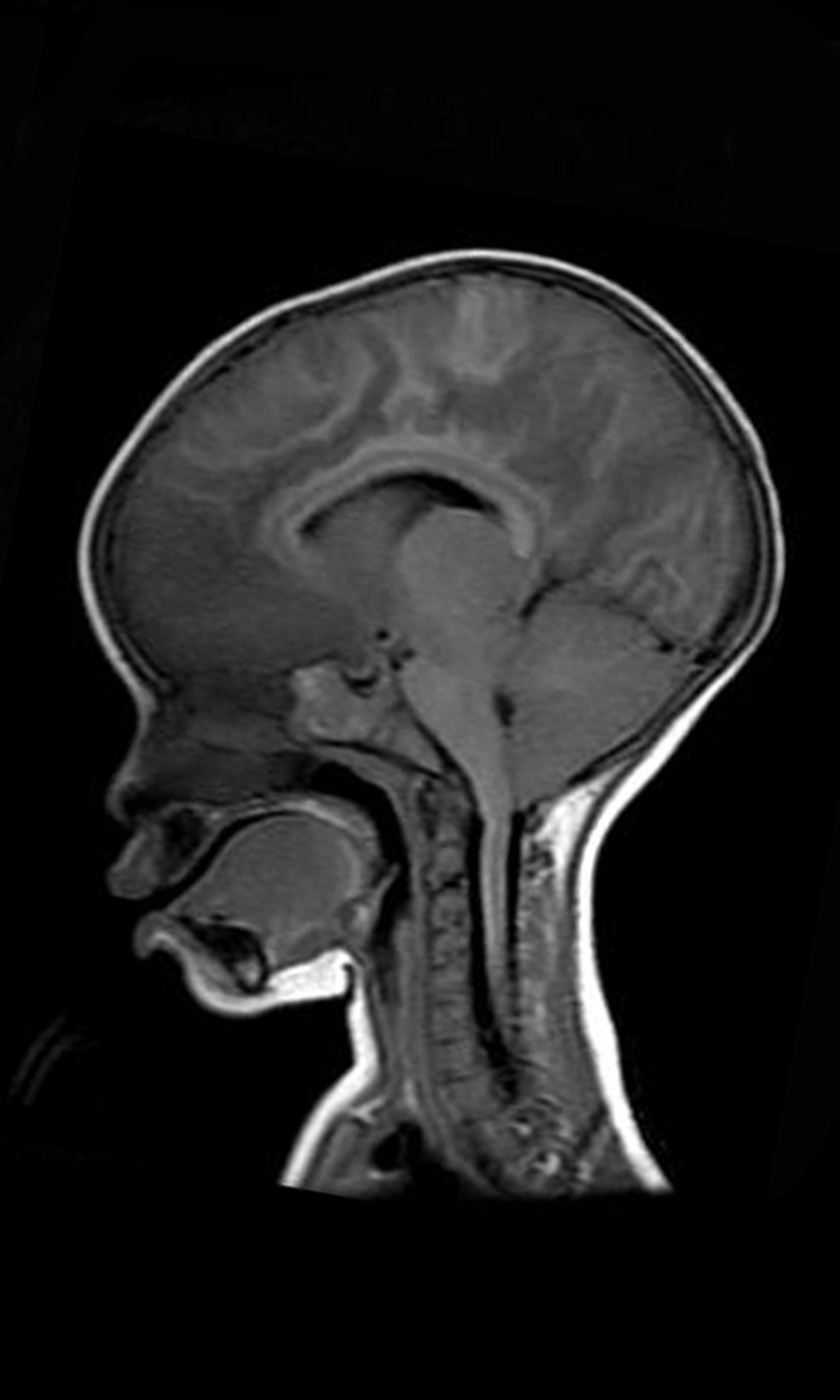 Figure1_C.jpg