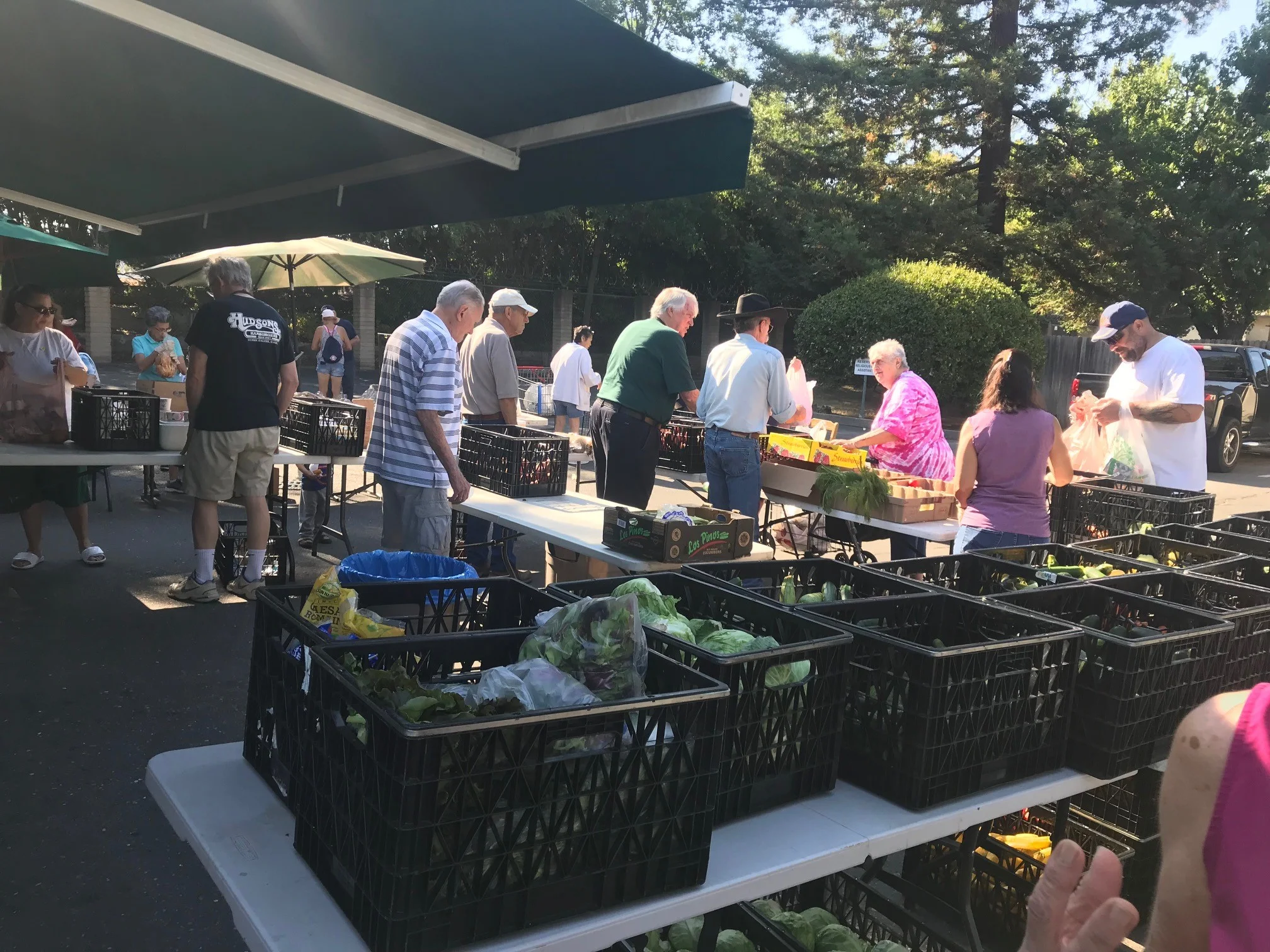 Clients select produce from today’s abundant donation.