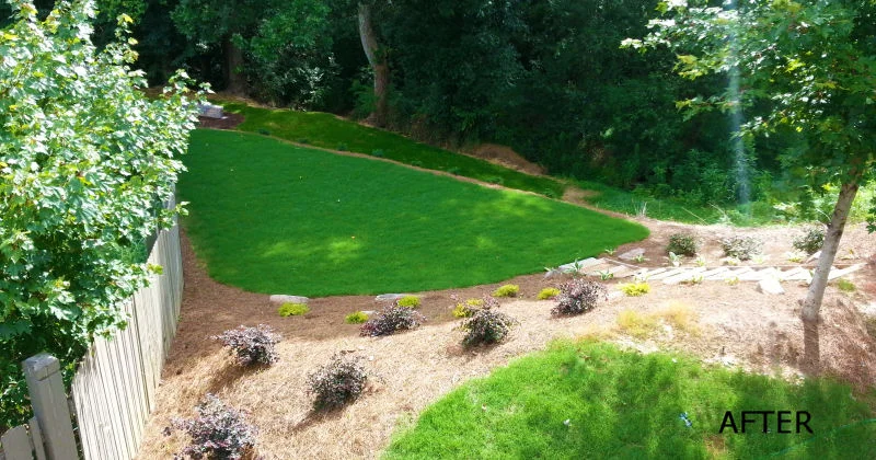 yard-2.jpg