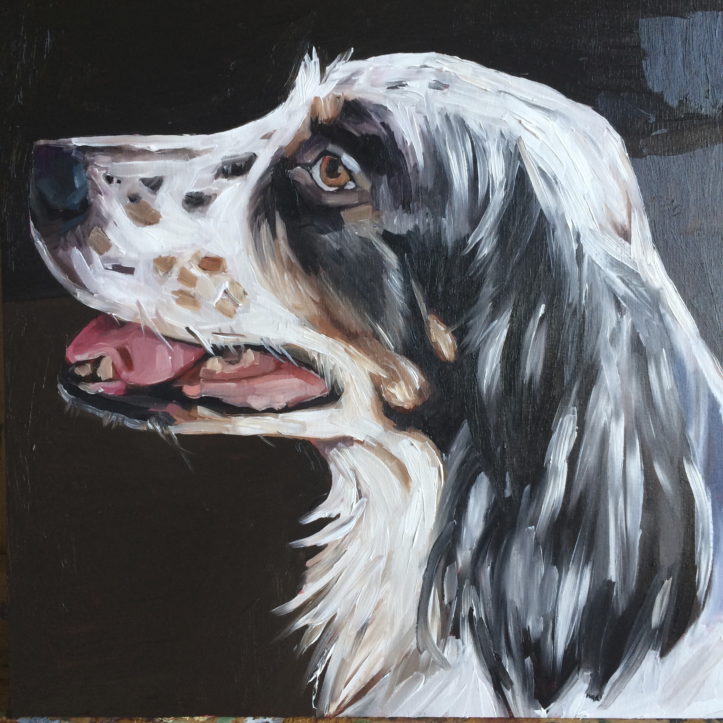 Dog Painting By kate Mullin