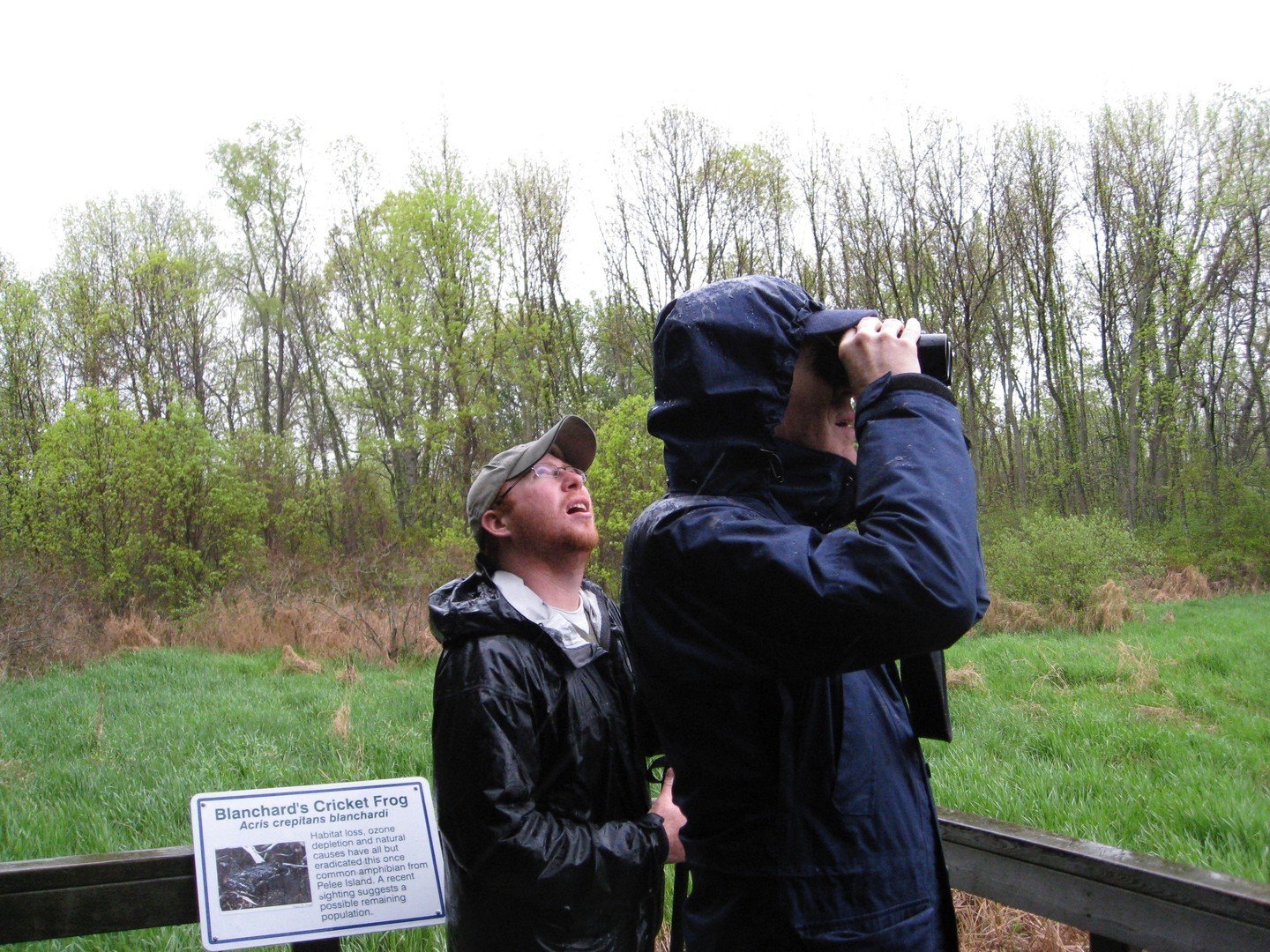 On this week&rsquo;s podcast I played Stuart&rsquo;s essay about birds and bird migration. We recorded it when we visited Point Pelee, Ontario. That was the trip where Stuart found he LOVED birding (and I found that I did not!) I talked about this tr