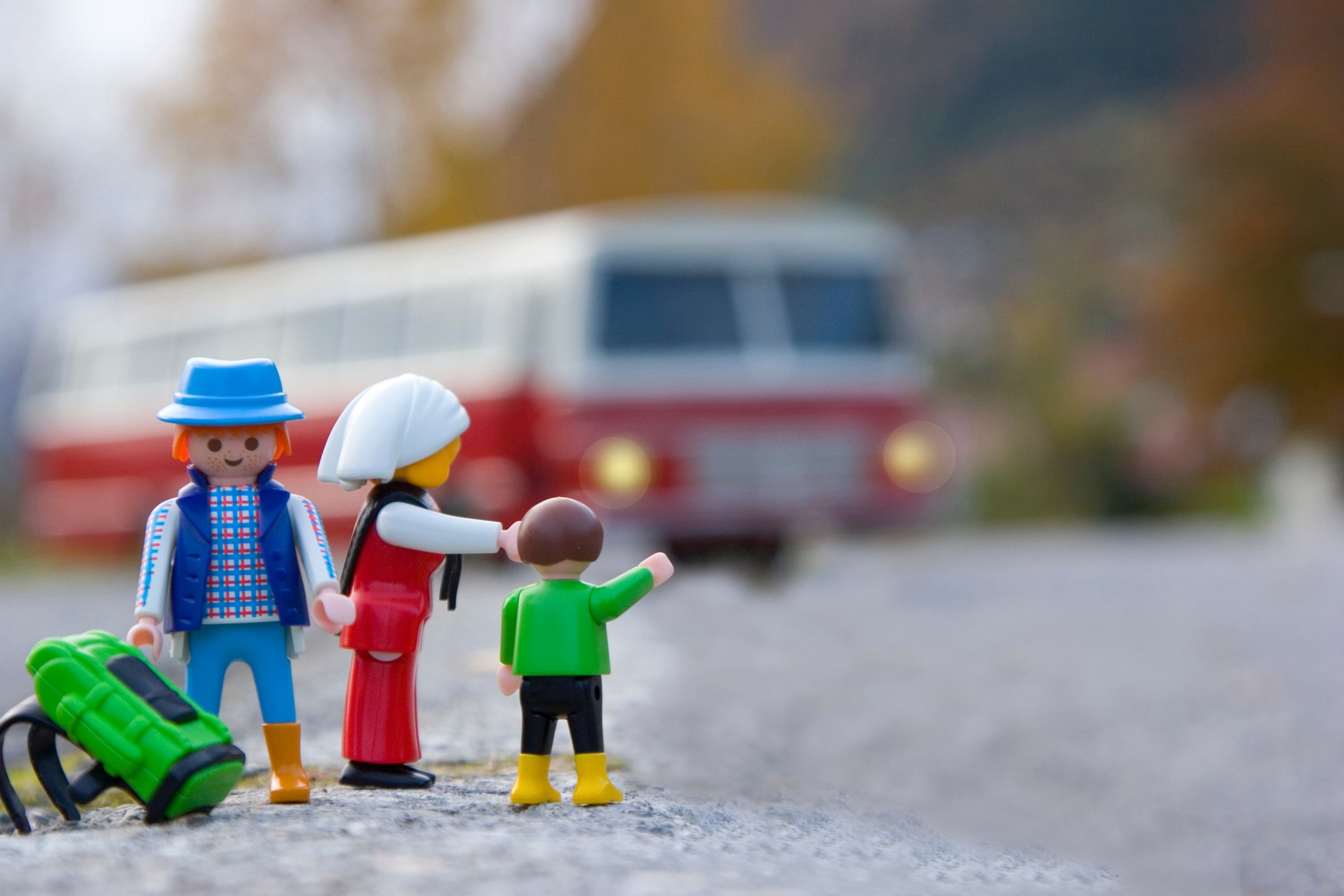 'They get distracted by cute and tiny, funny little things' Photo by Steiner Engeland .
